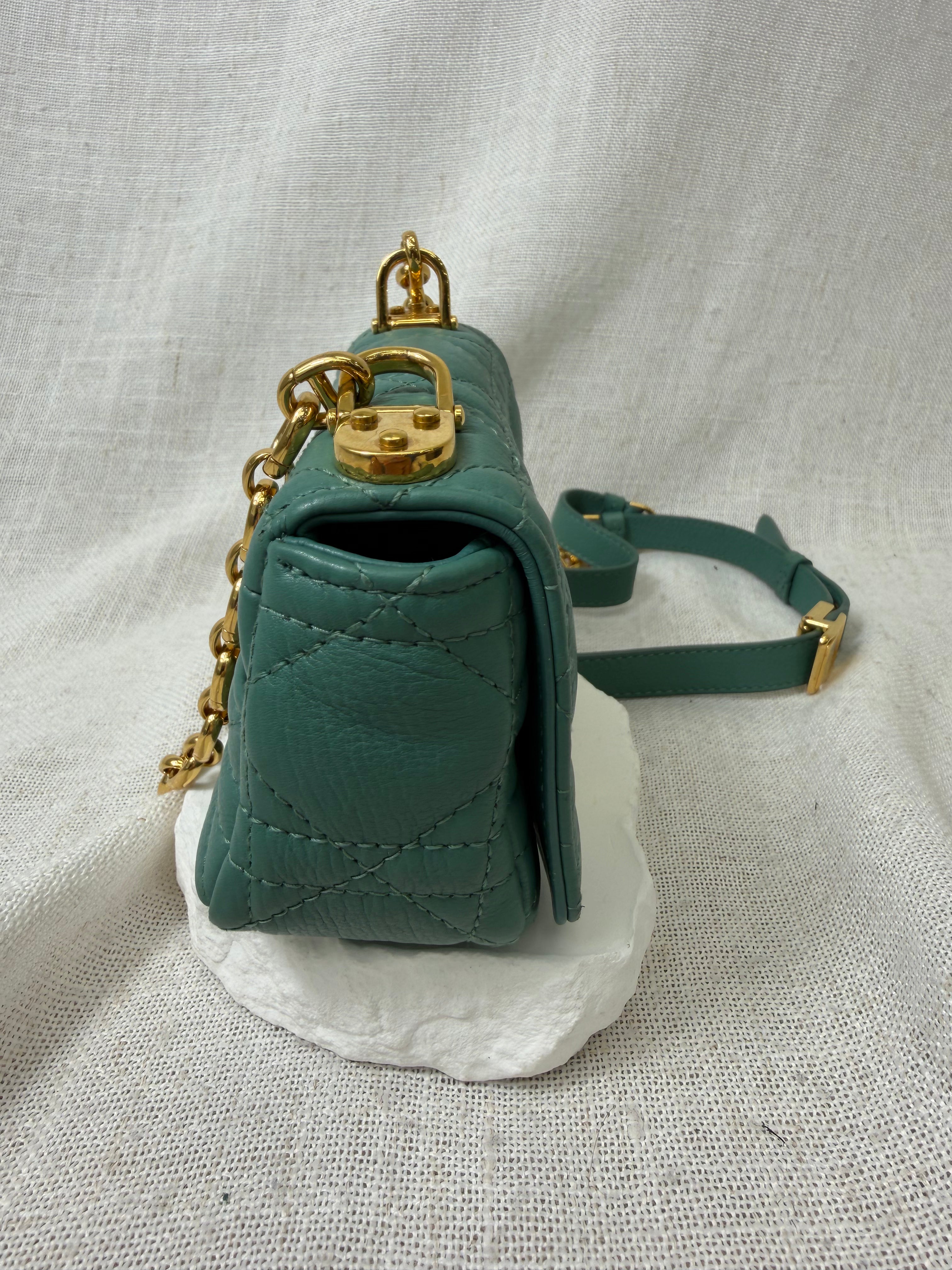 Christian Dior Sage Supple Calfskin Micro Caro Bag