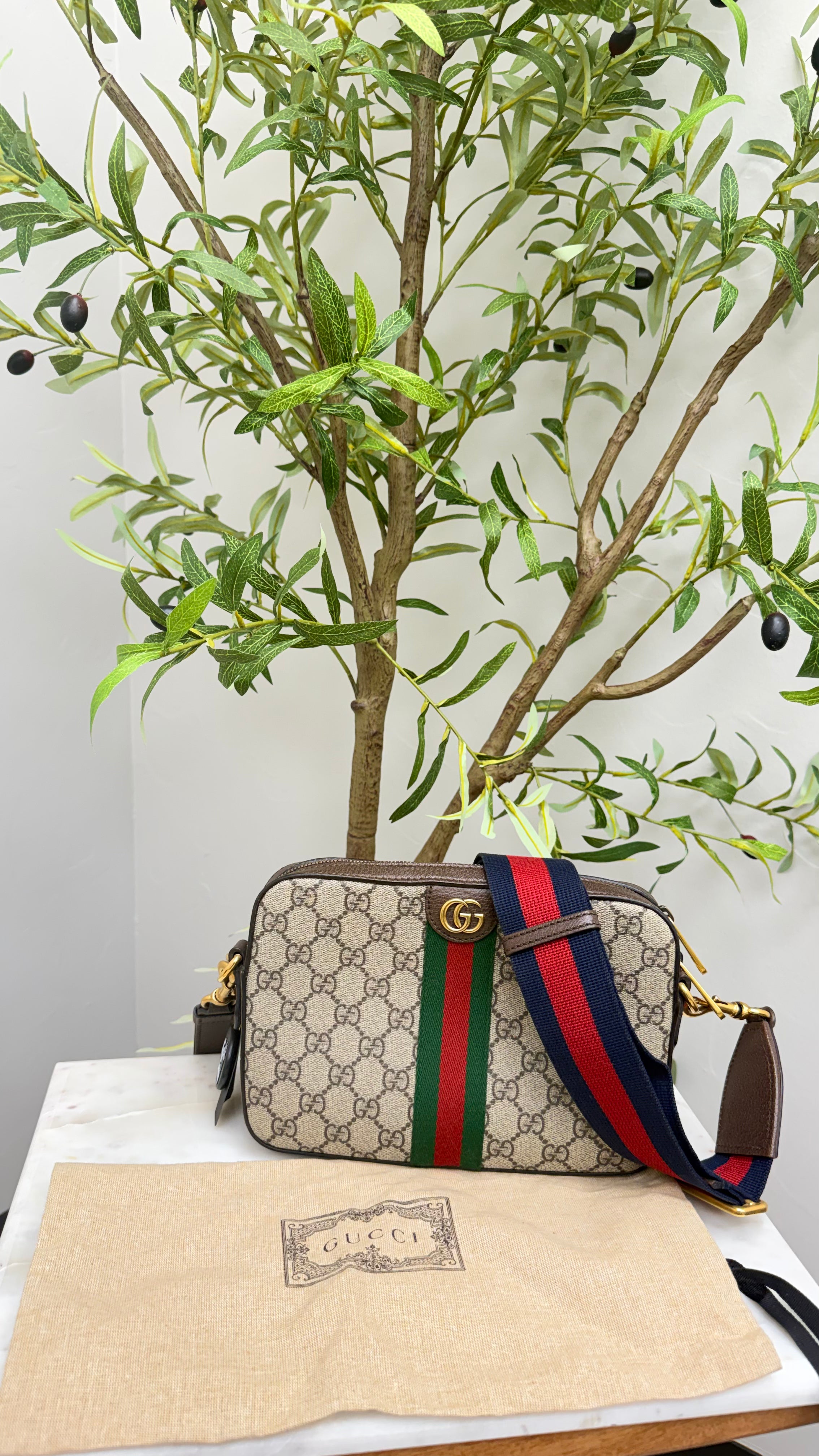 Gucci GG Supreme Ophidia Crossbody Bag