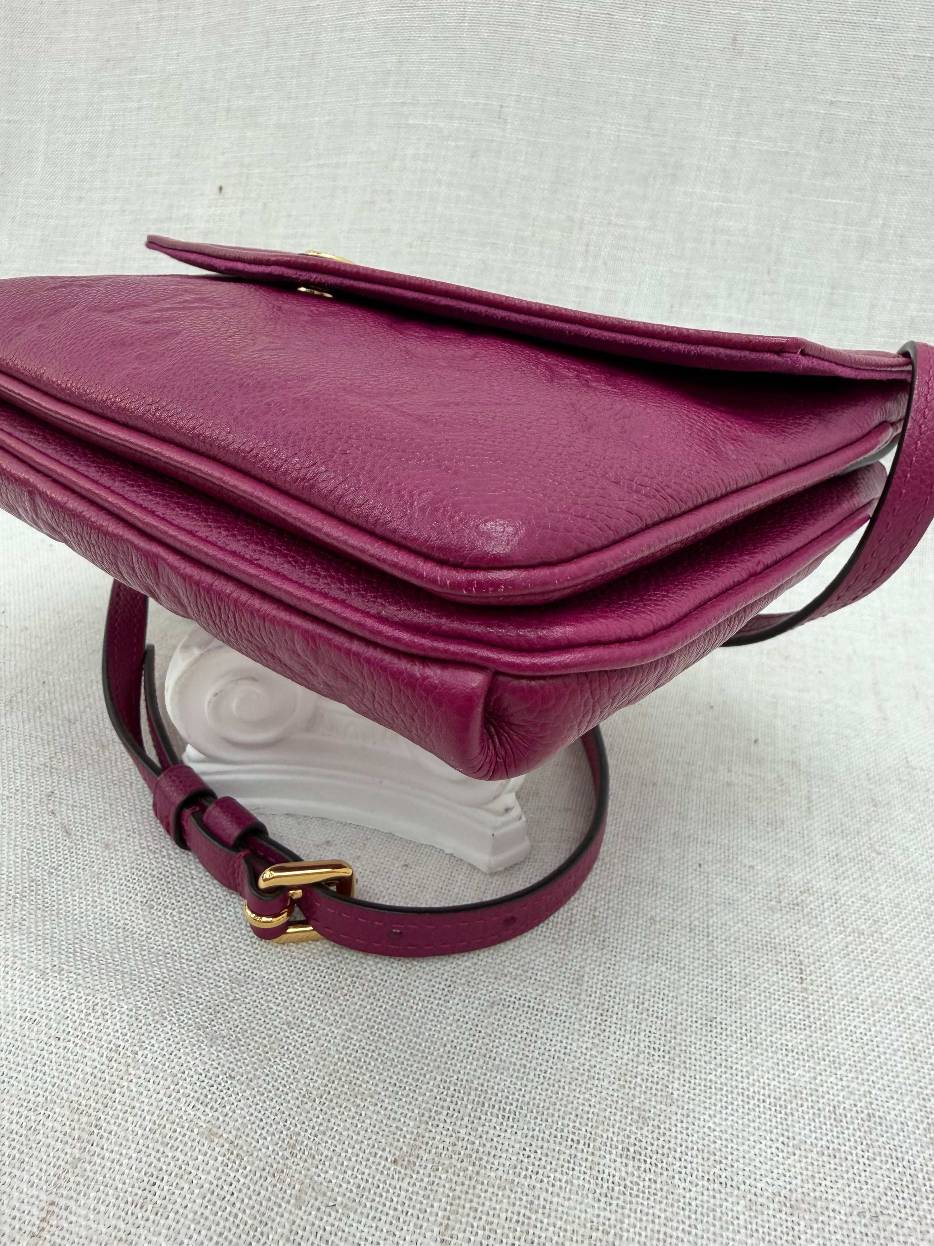 Louis Vuitton Grape Empreinte Leather Twice Crossbody