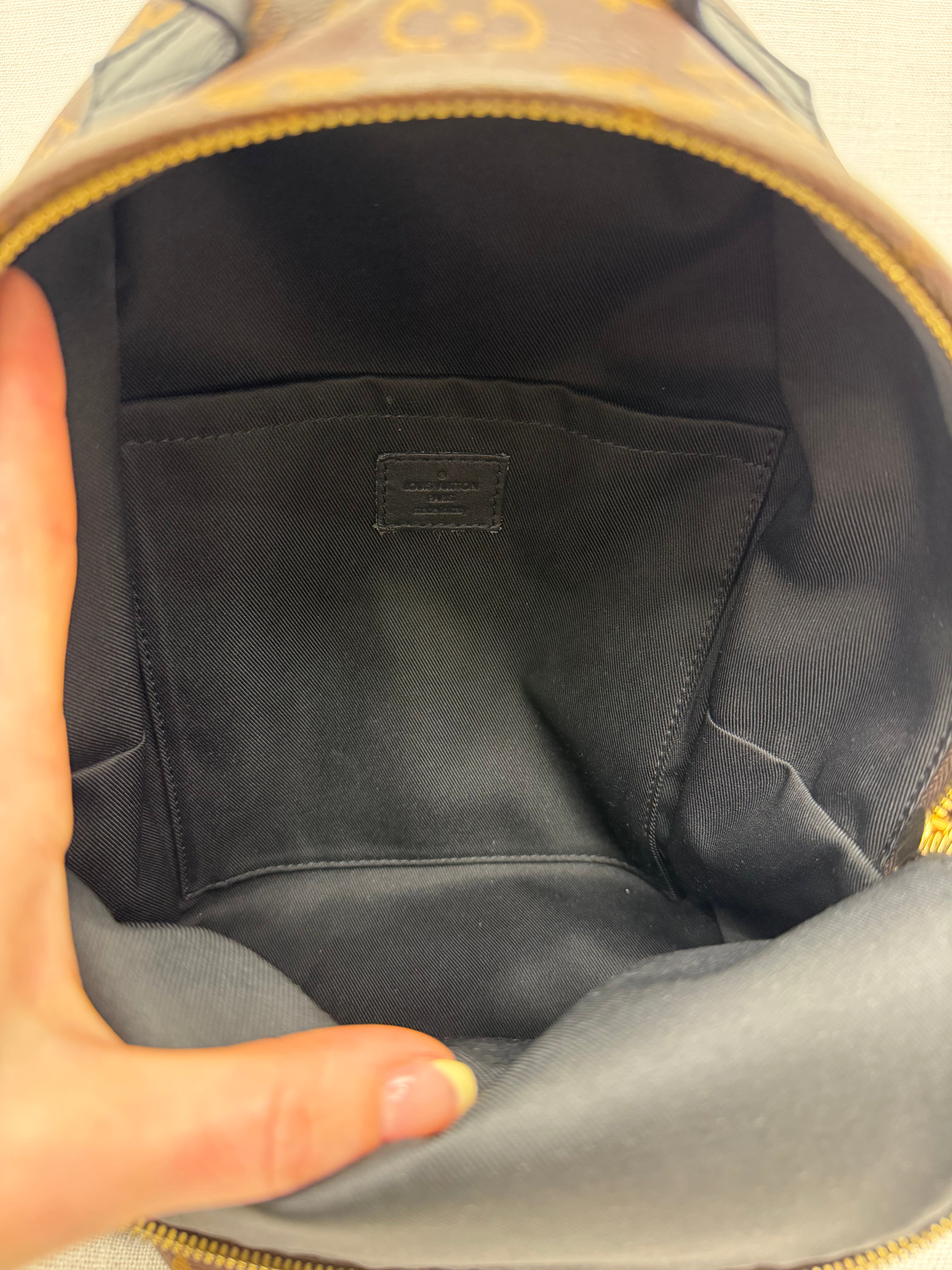 Louis Vuitton Monogram Palm Springs PM Backpack