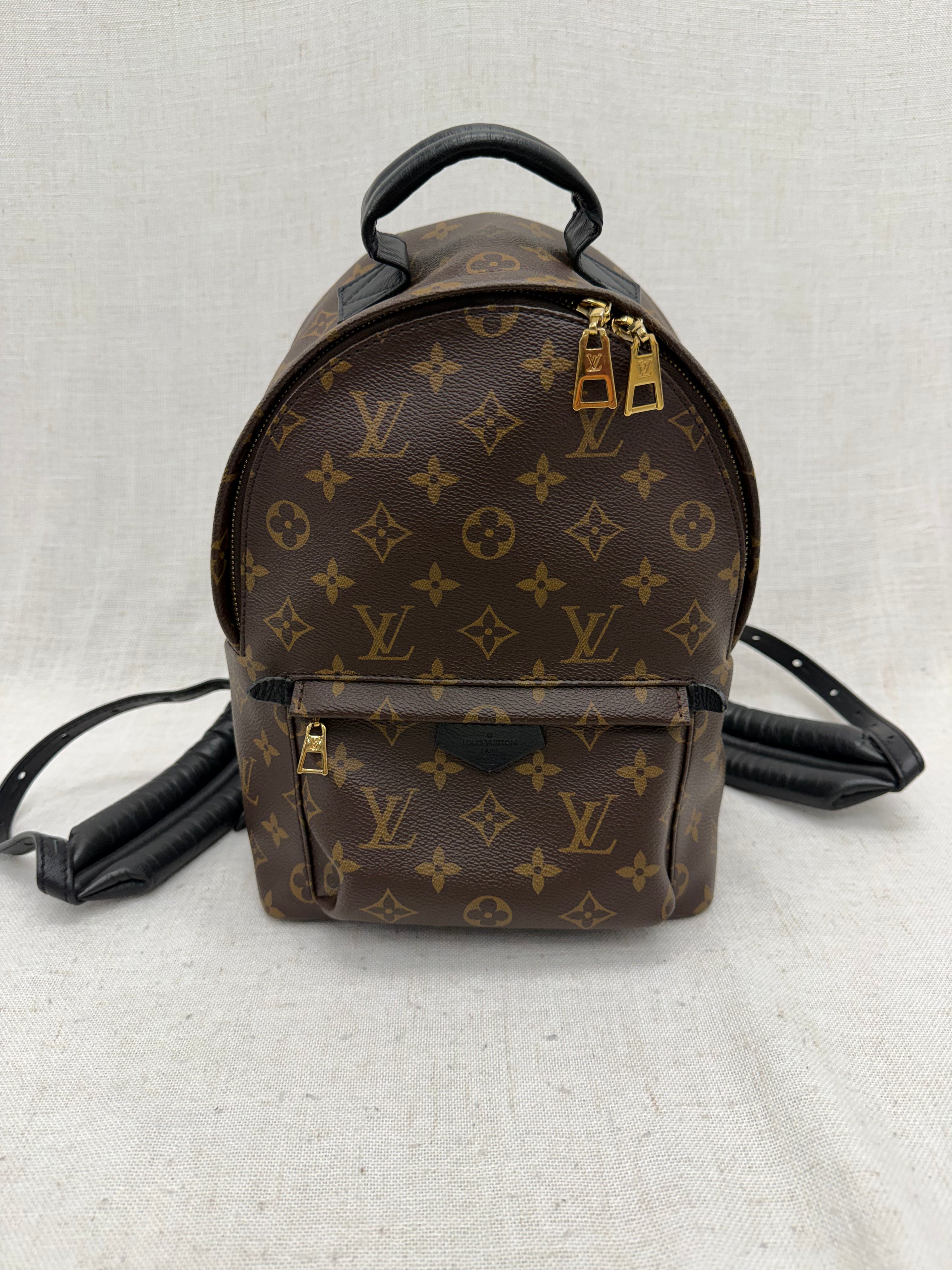 Louis Vuitton Monogram Palm Springs PM Backpack