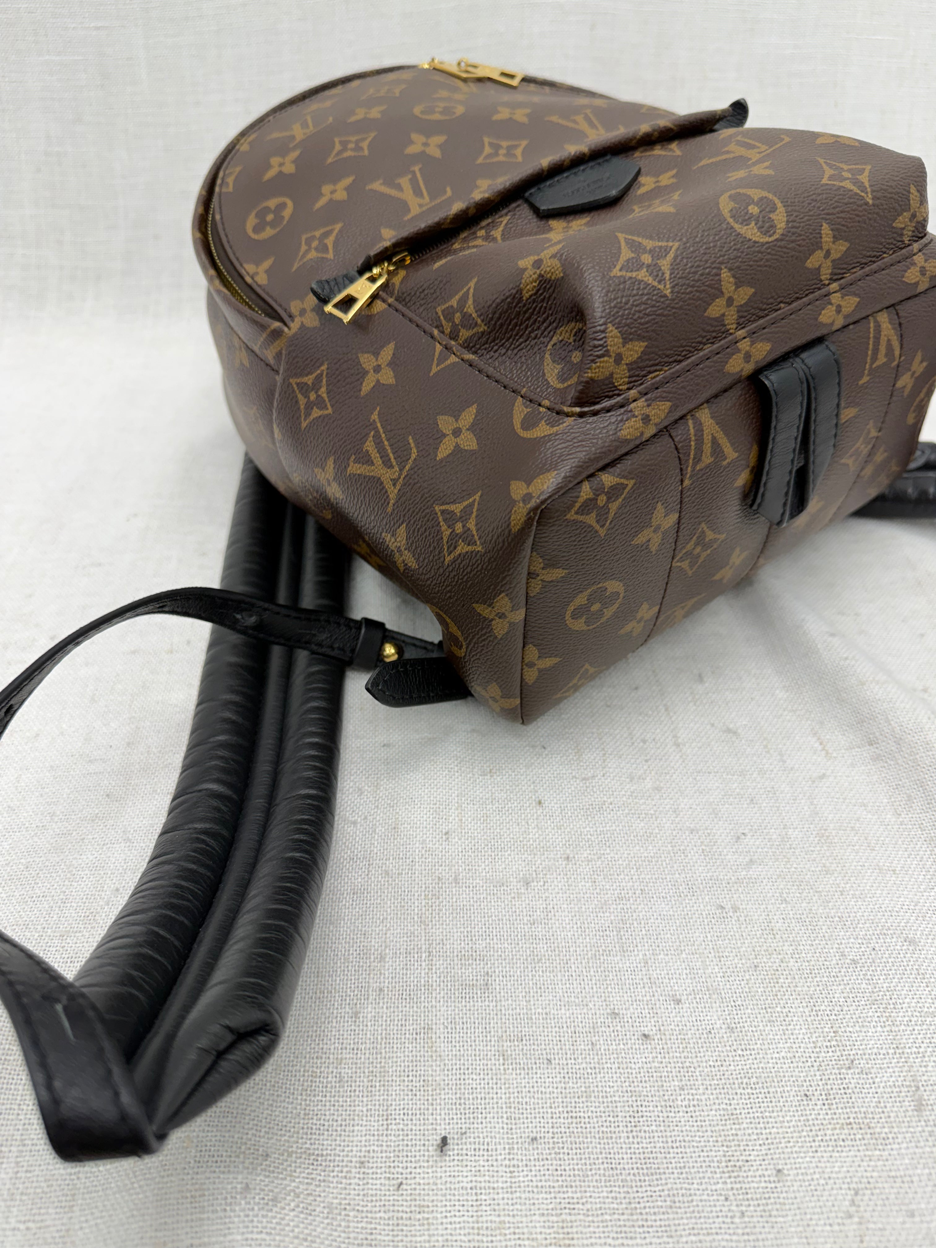 Louis Vuitton Monogram Palm Springs PM Backpack