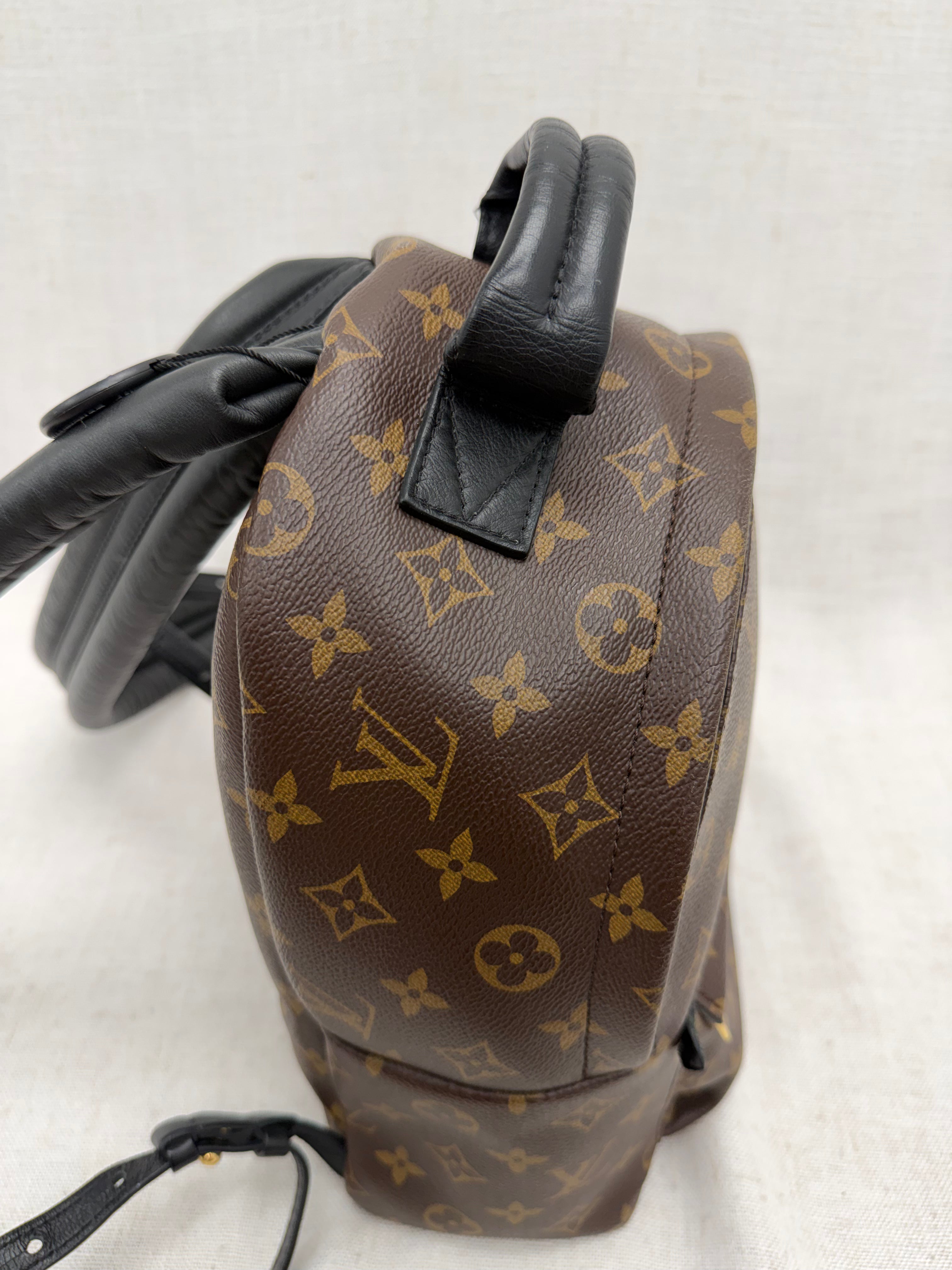 Louis Vuitton Monogram Palm Springs PM Backpack