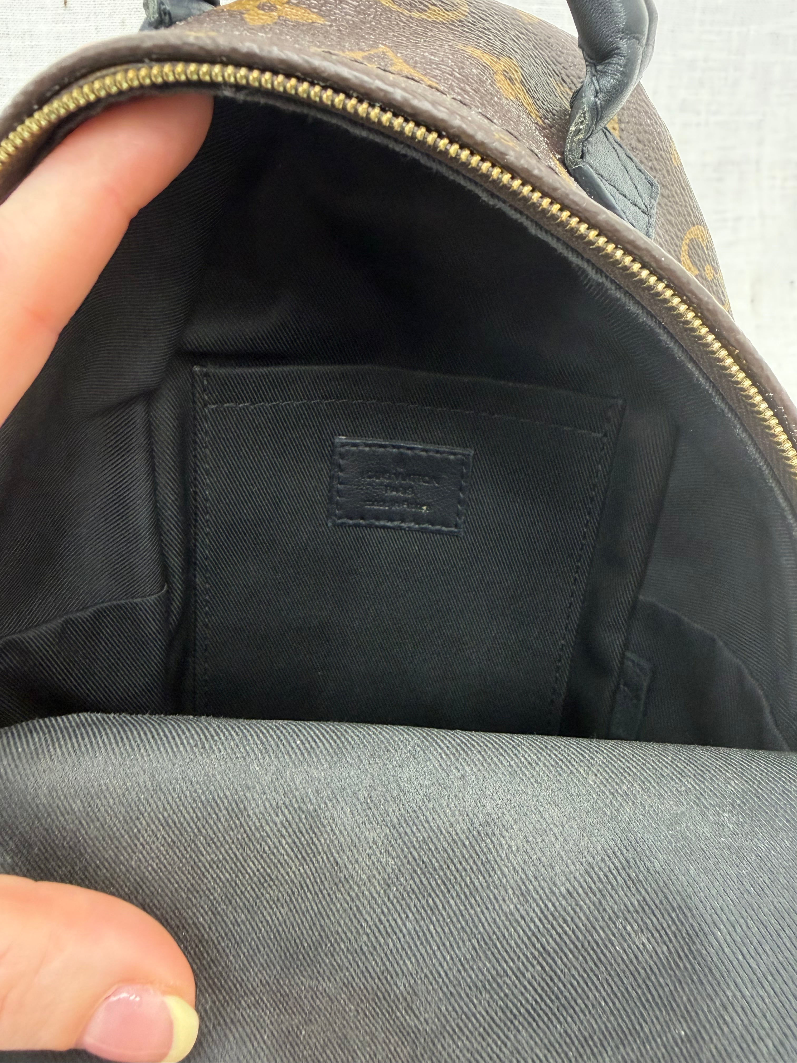 Louis Vuitton Monogram Palm Springs Mini Backpack