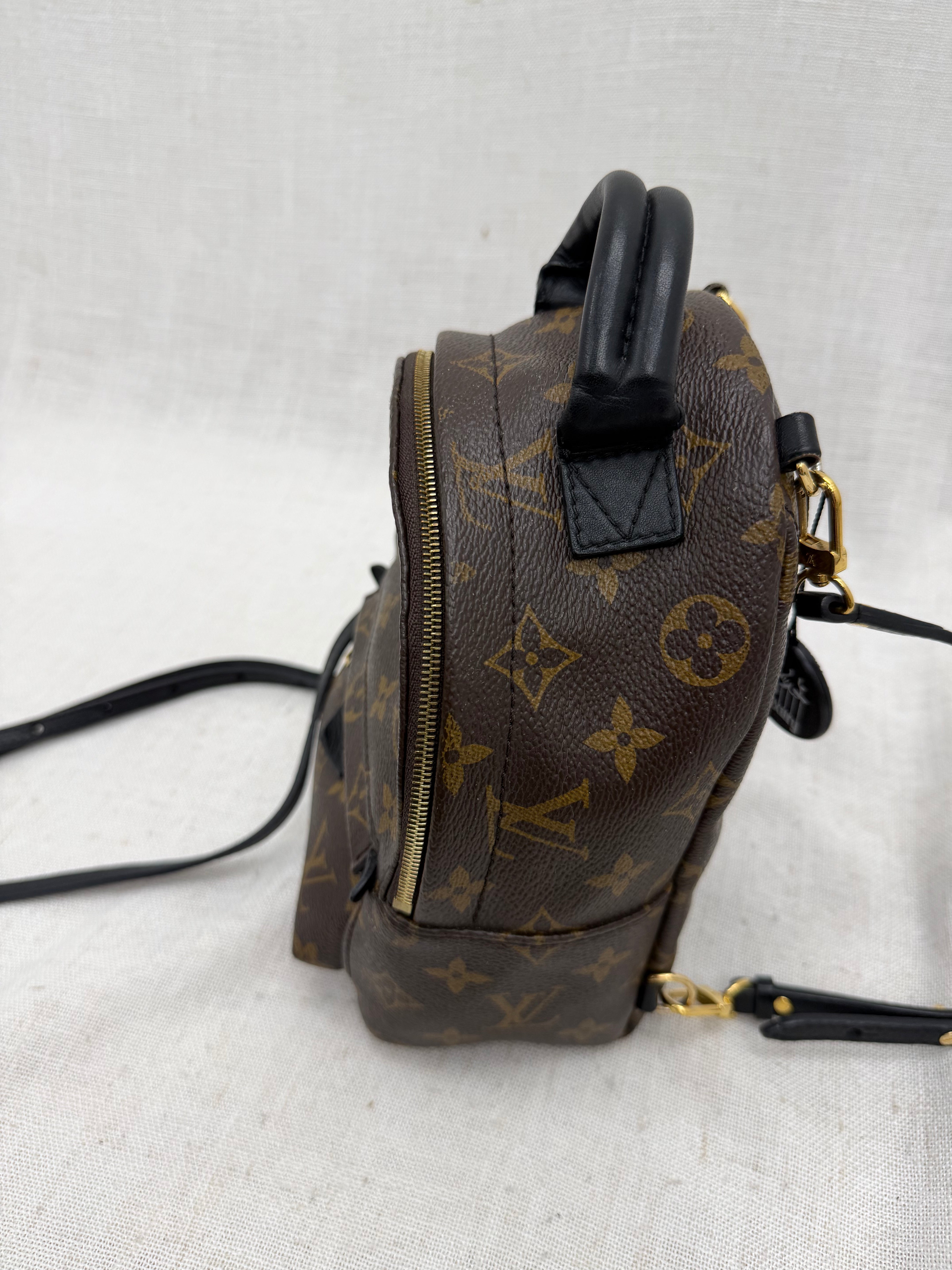 Louis Vuitton Monogram Palm Springs Mini Backpack