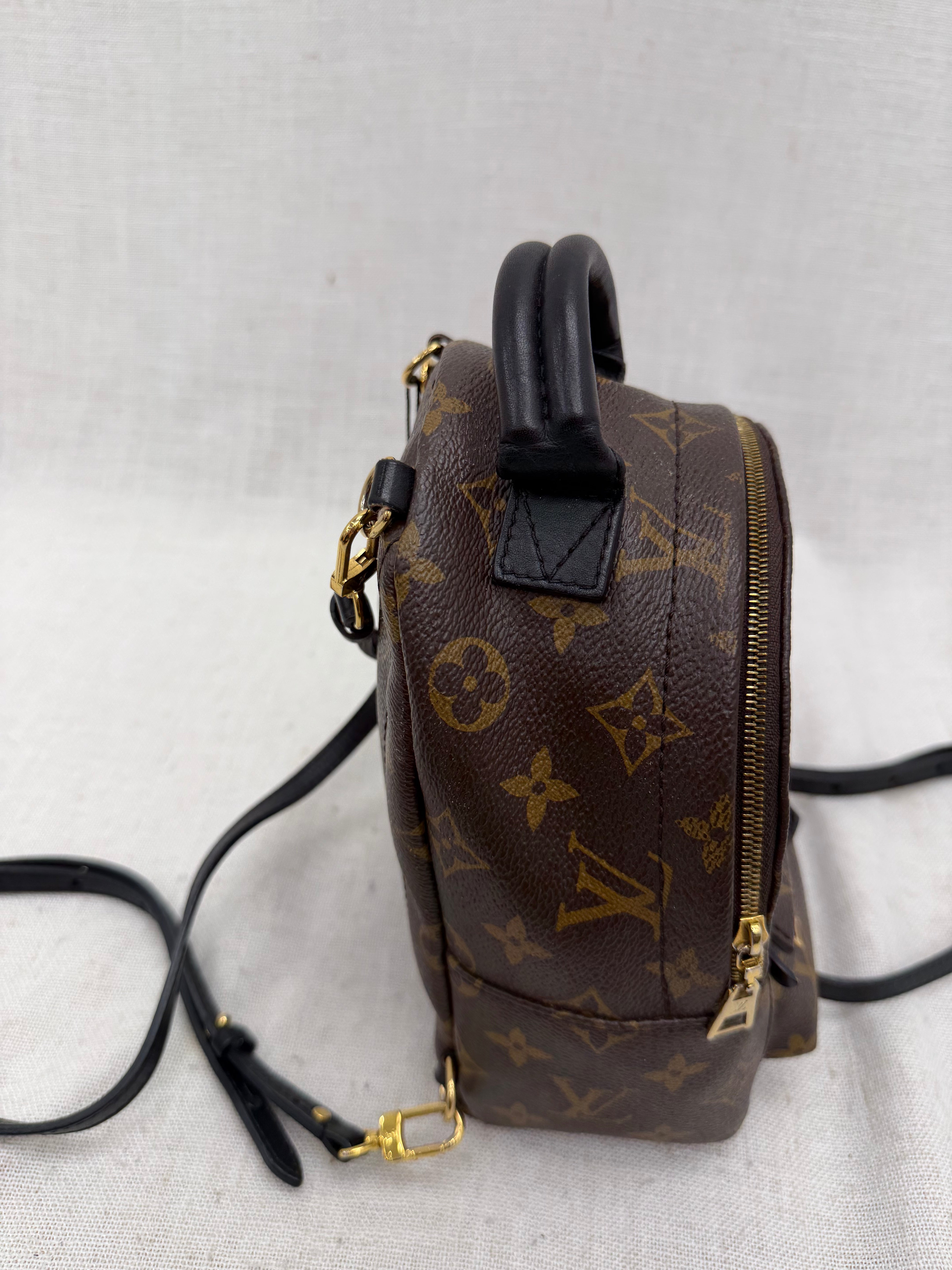 Louis Vuitton Monogram Palm Springs Mini Backpack