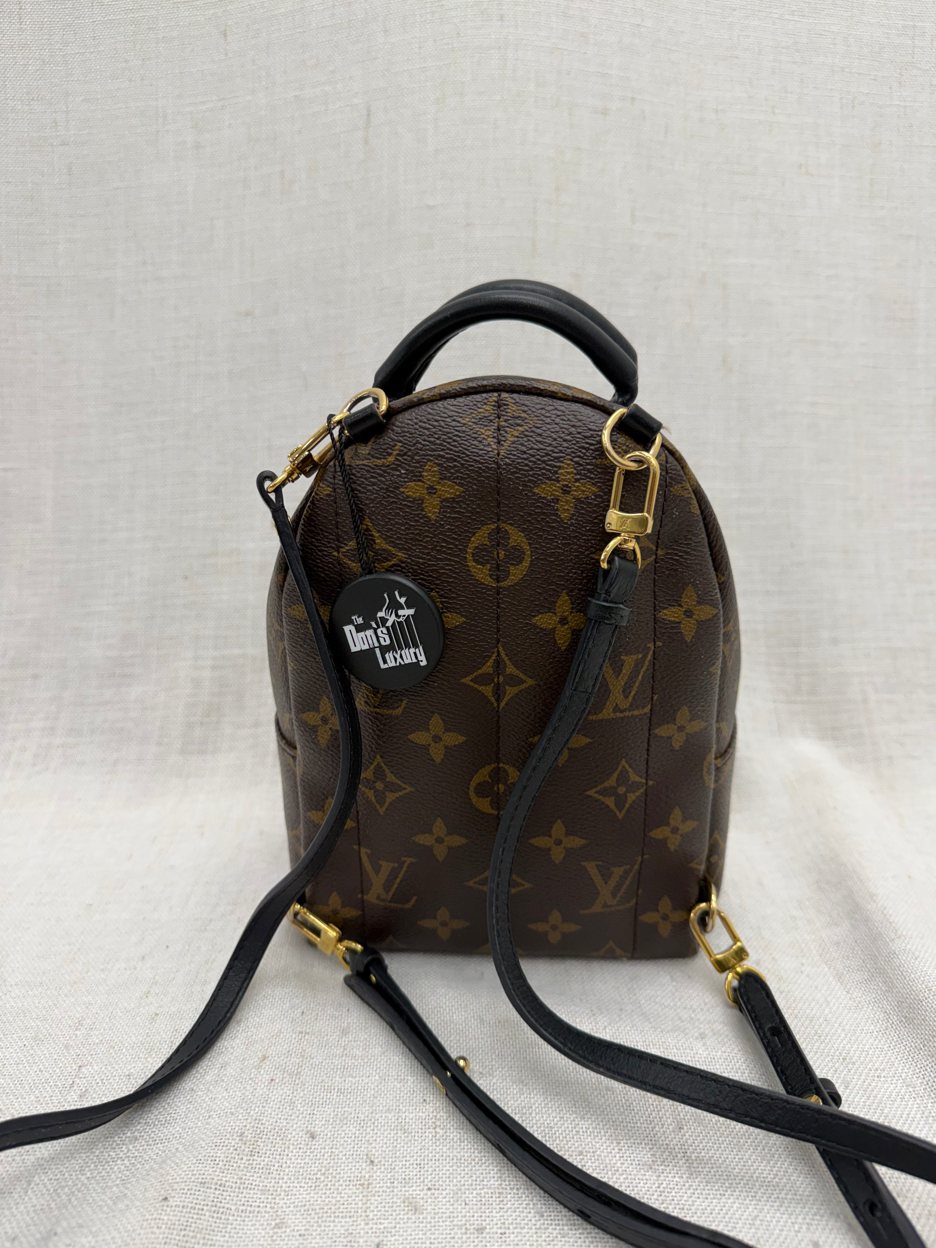 Louis Vuitton Monogram Palm Springs Mini Backpack