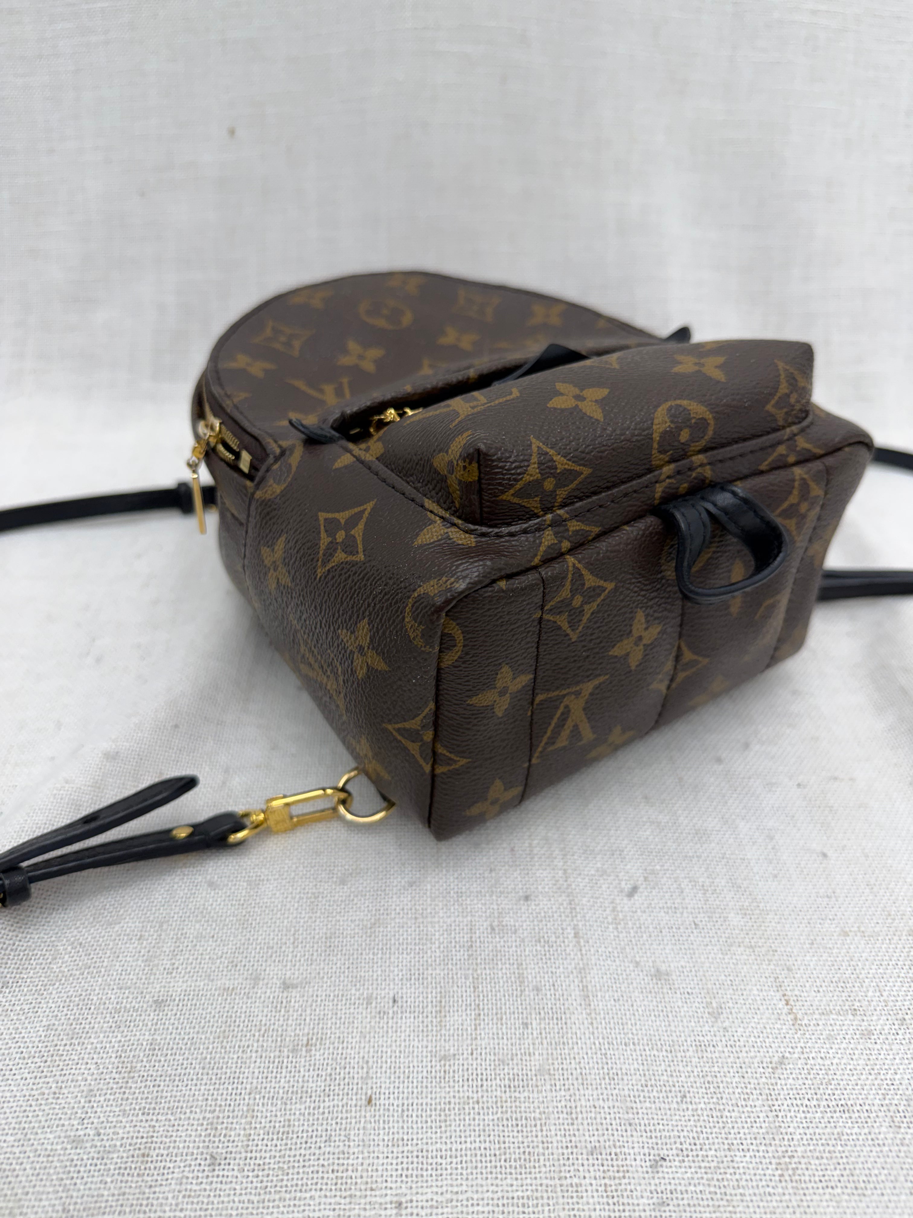 Louis Vuitton Monogram Palm Springs Mini Backpack