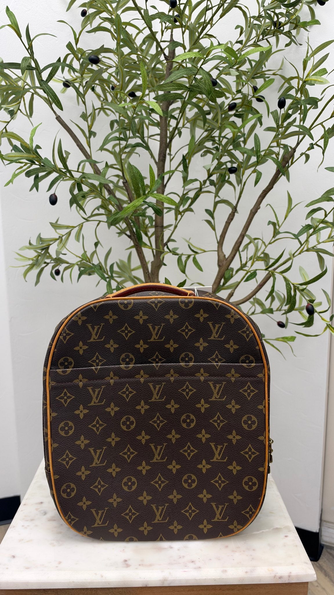 Louis Vuitton Monogram Sac A Dos Packall