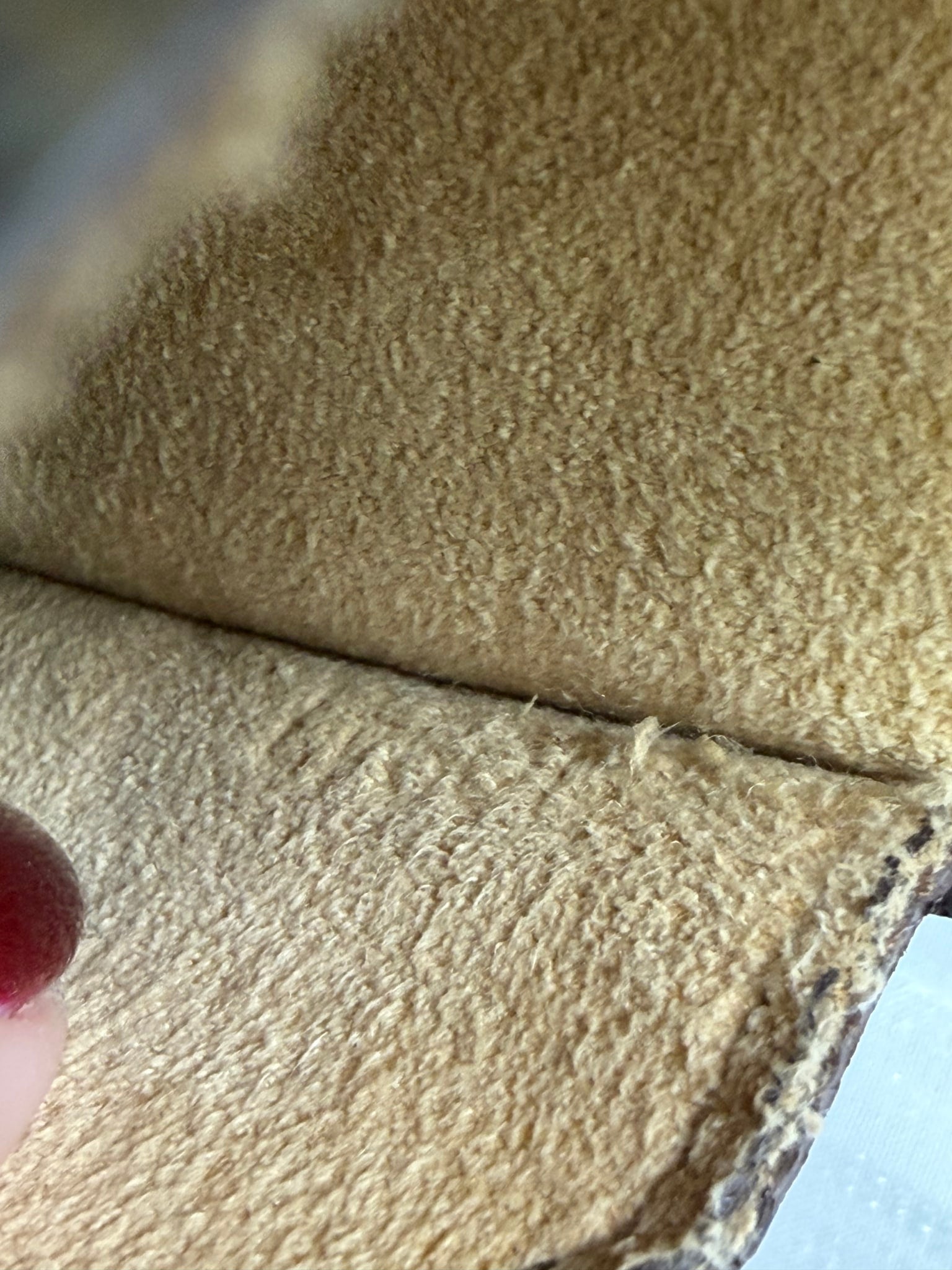 Louis Vuitton Monogram Glasses Case