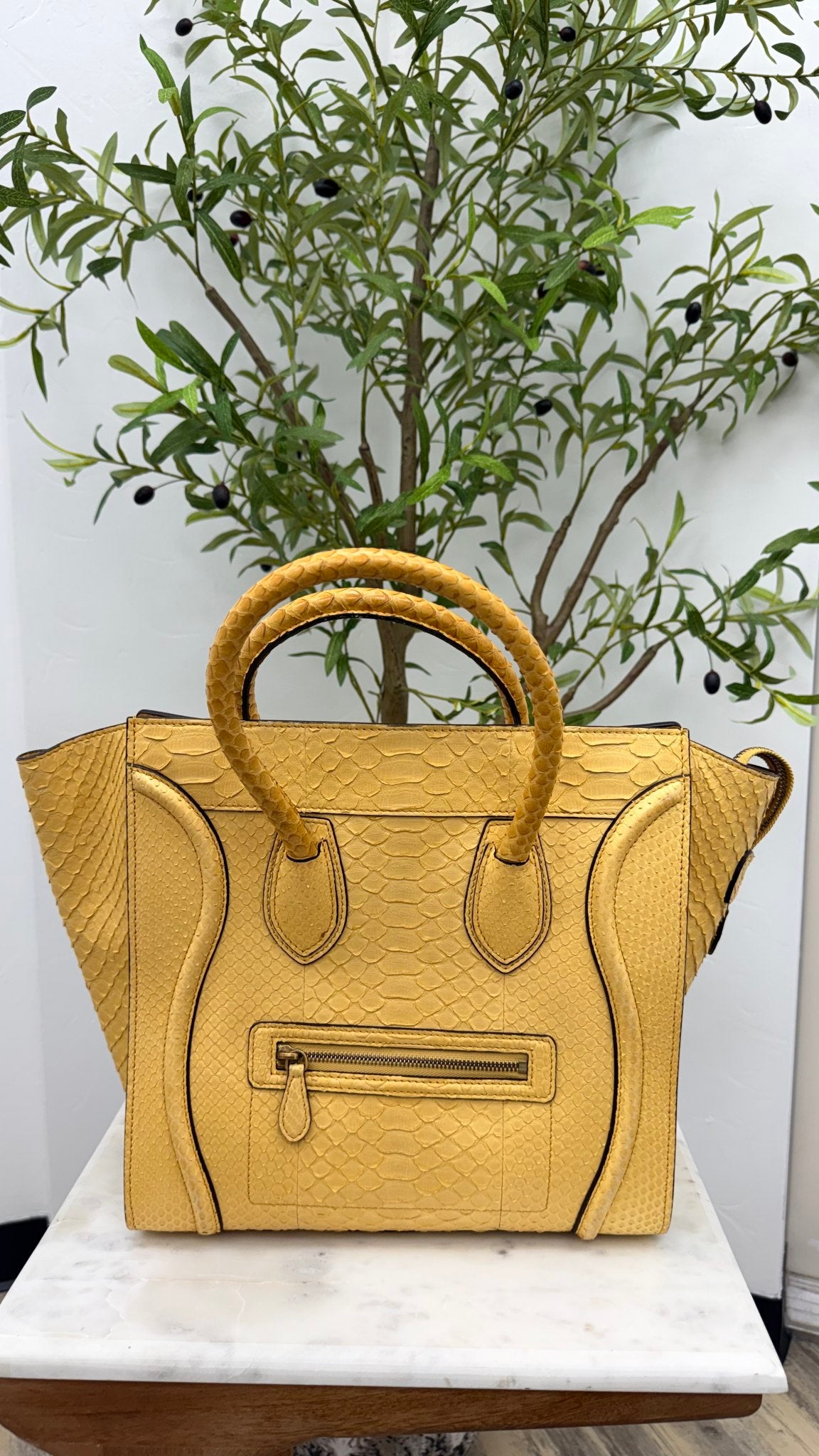 Celine Yellow Python Leather Mini Luggage Tote Bag 