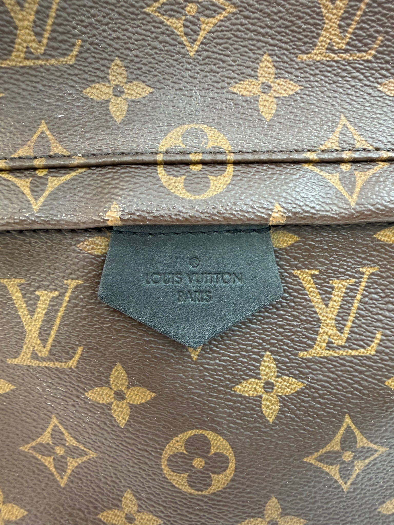 Louis Vuitton Monogram Palm Spring Backpack MM