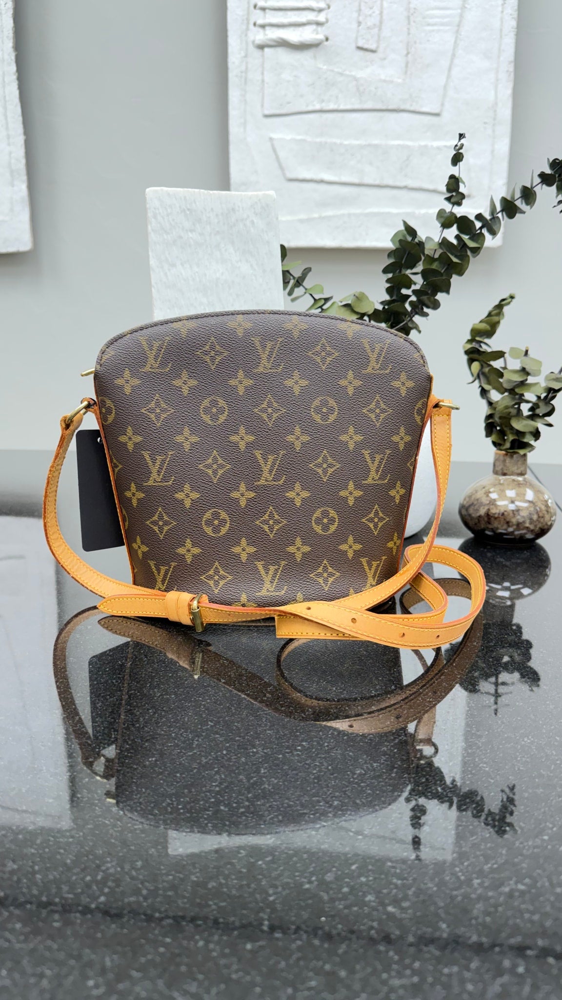 Louis Vuitton Monogram Drouot Crossbody Bag