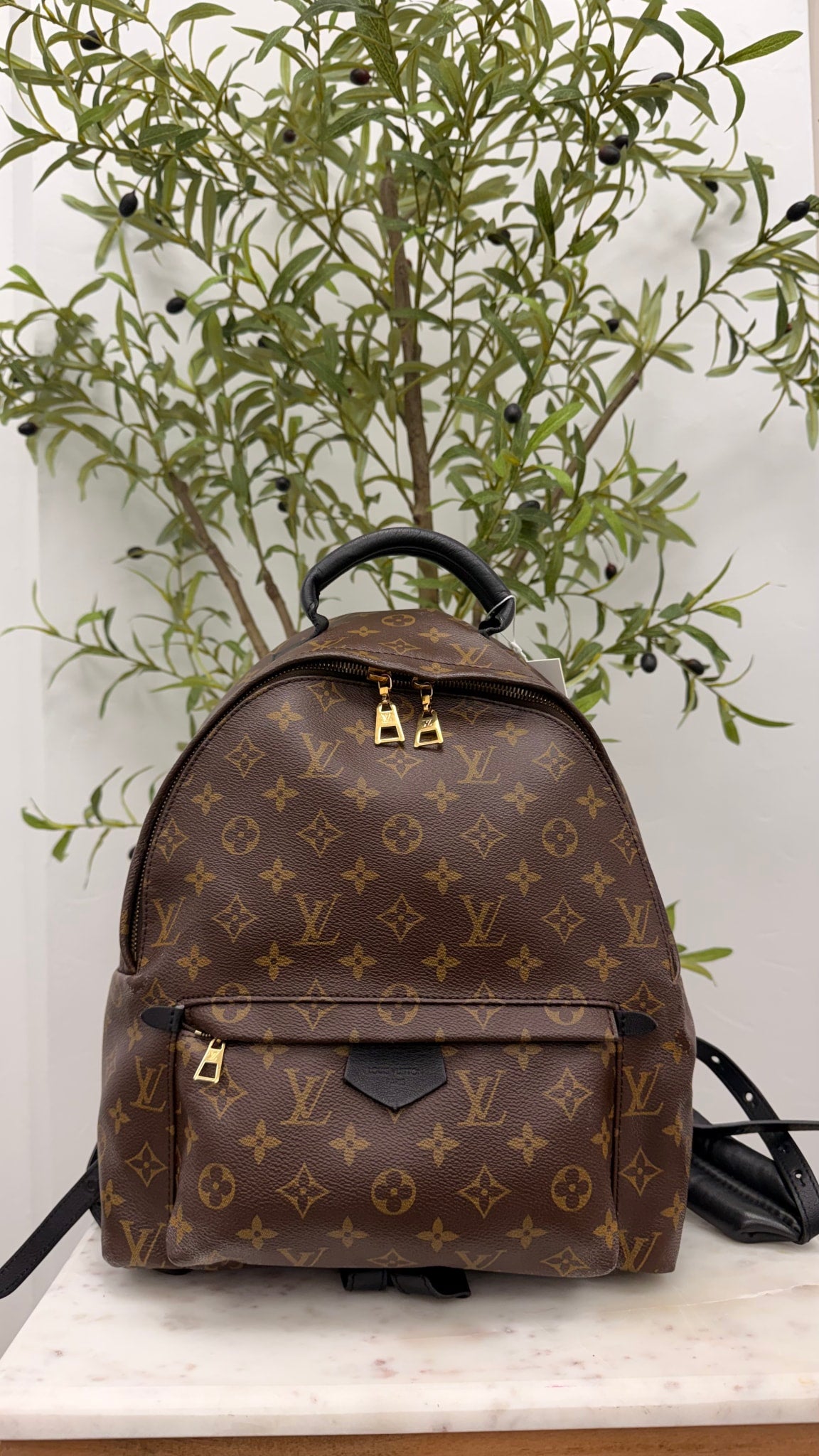 Louis Vuitton Monogram Palm Springs MM Backpack 