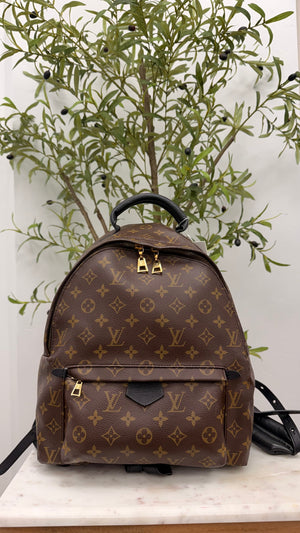 Louis Vuitton Monogram Palm Springs MM Backpack