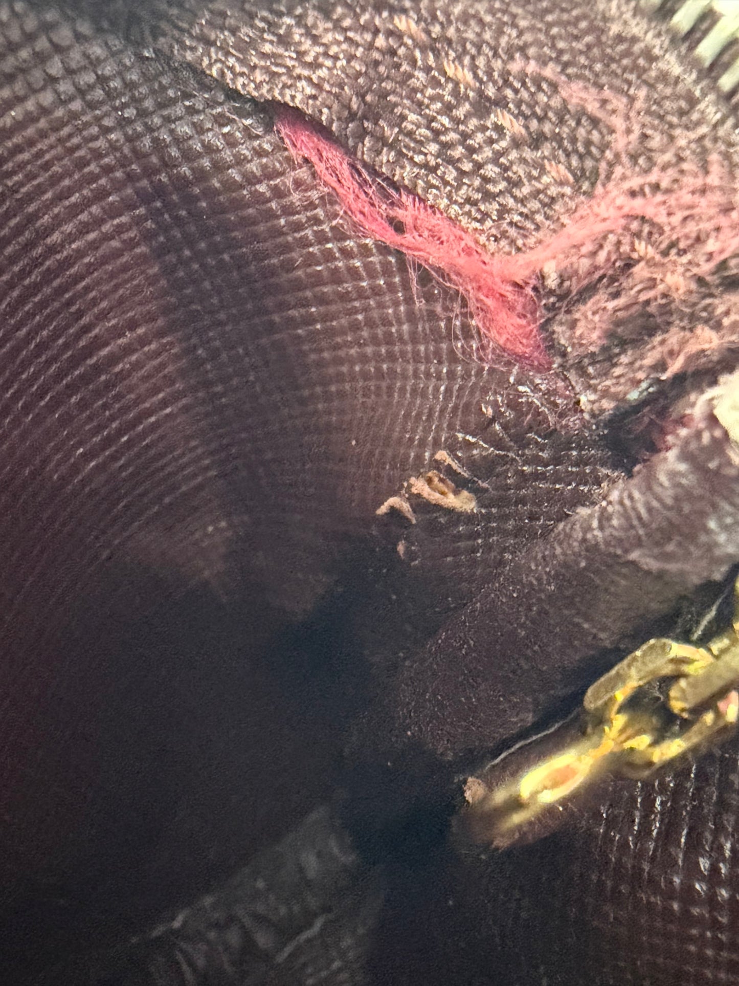 https://res.cloudinary.com/dyql5hig8/image/upload/v1760112366/bdzdmdq8zc3zwflipzjx.jpg