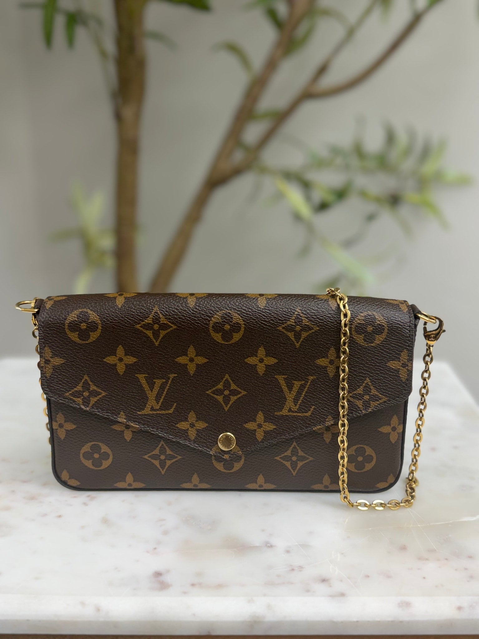 Louis Vuitton Monogram Felicie Pochette Bag