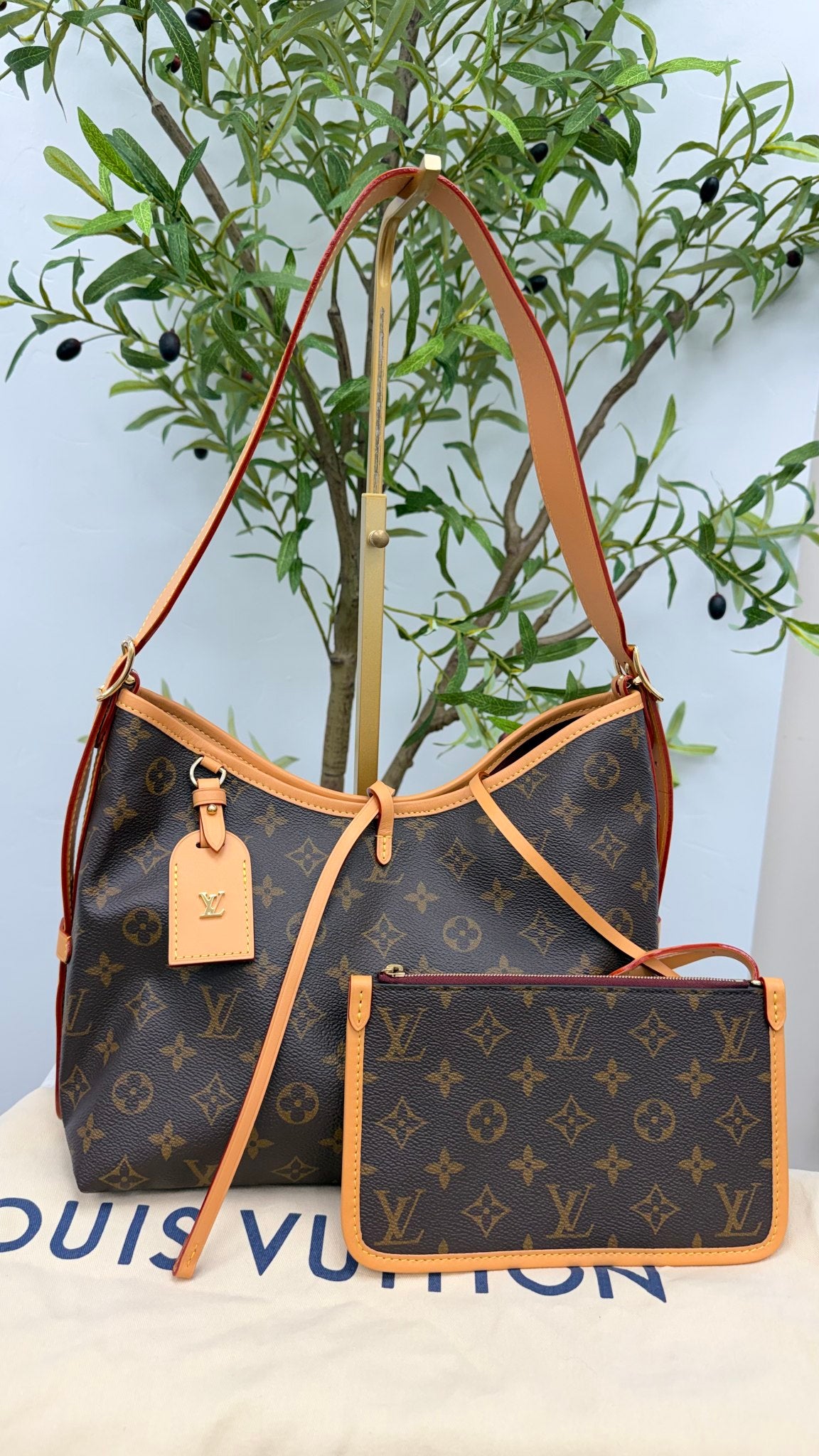 BRAND NEW - Louis Vuitton Monogram Carry All PM Shoulder Bag 