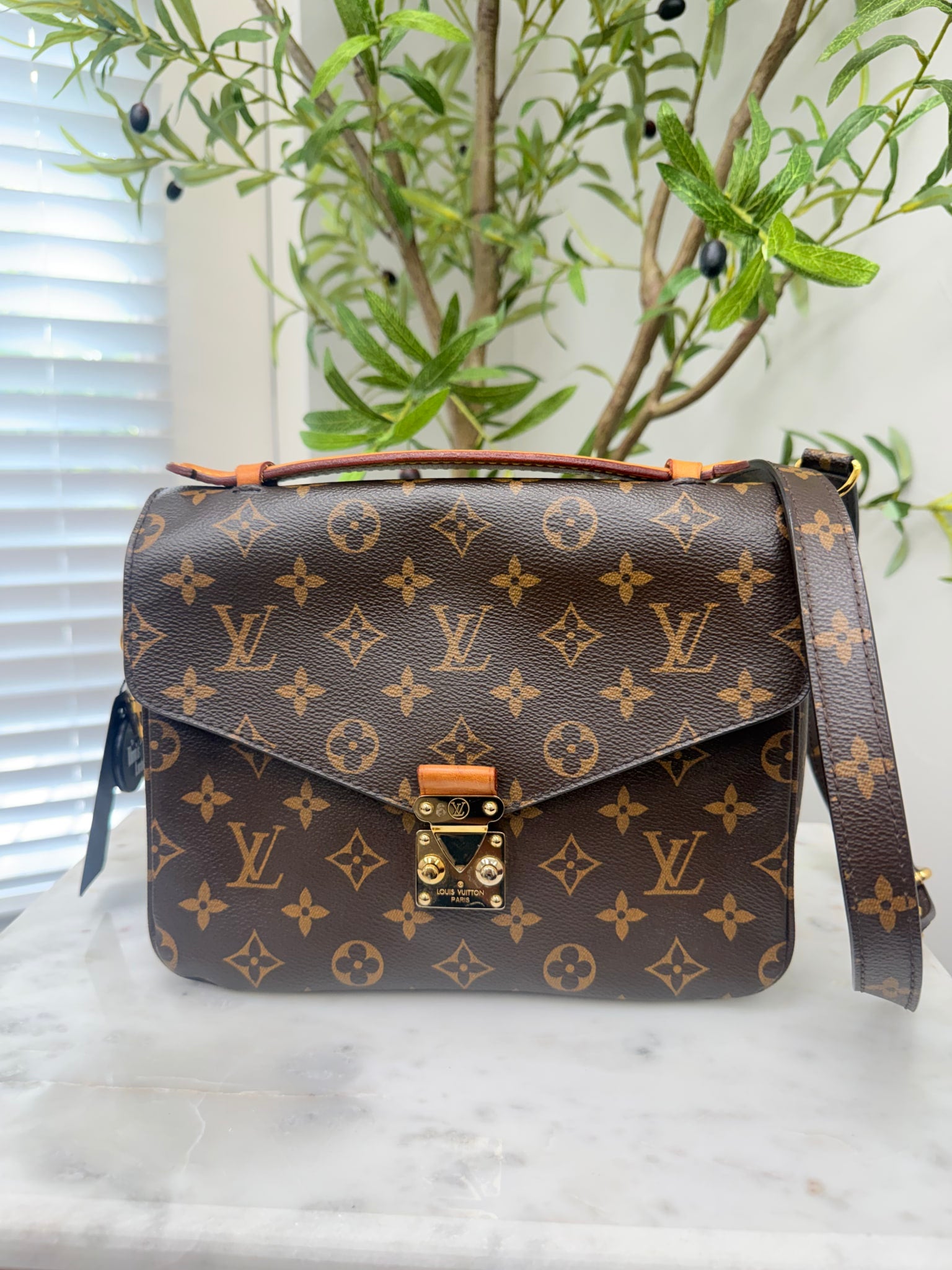 Louis Vuitton Monogram Pochette Metis Crossbody Bag