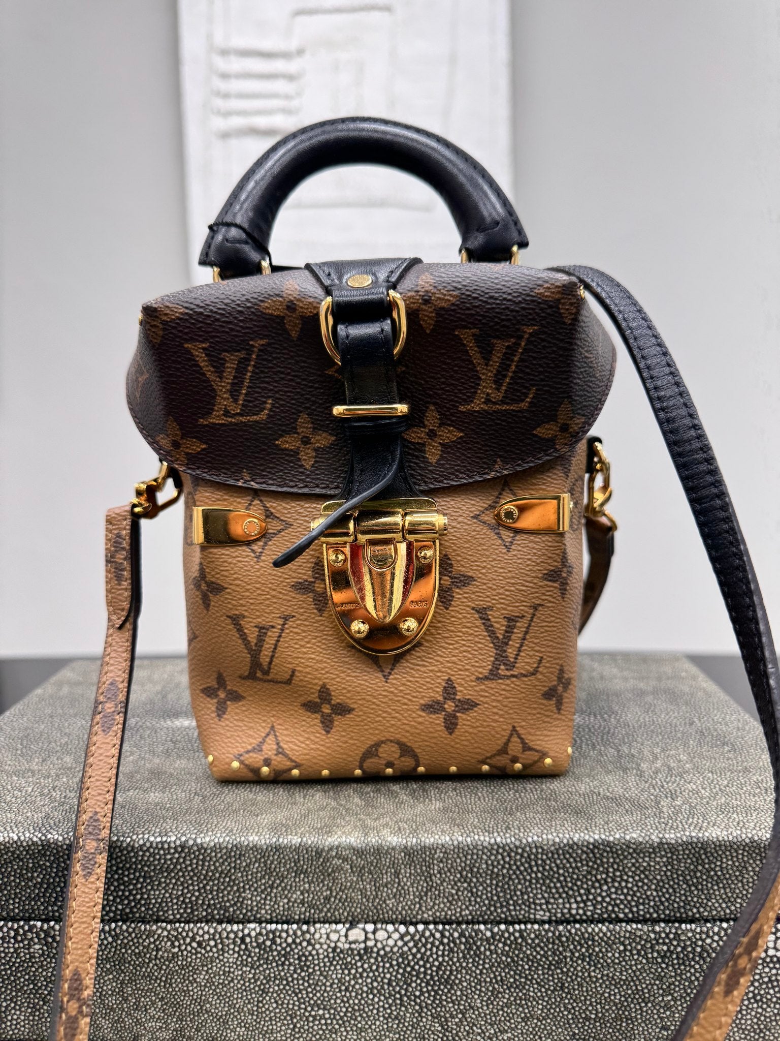 Louis Vuitton Reverse Monogram Camera Box Crossbody Bag