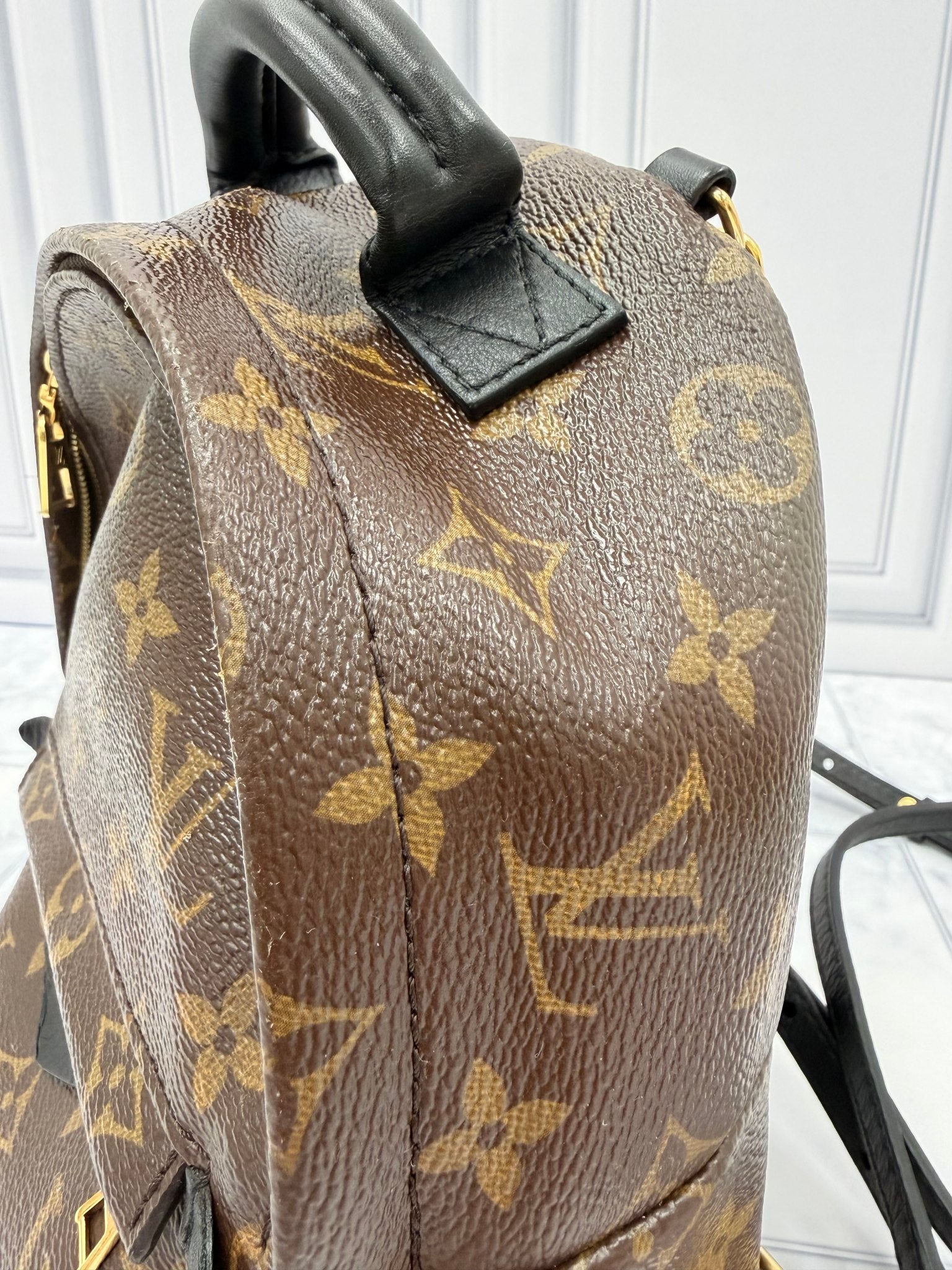 Louis Vuitton Monogram Mini Palm Springs Backpack