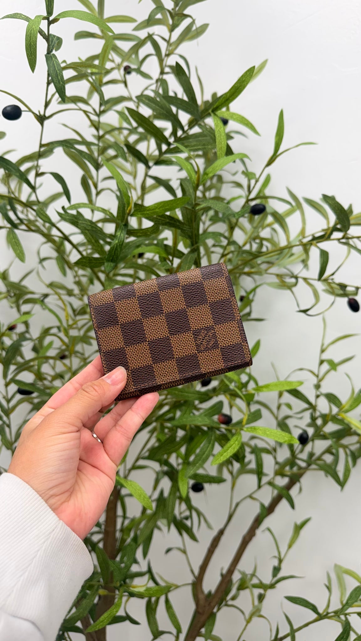 Louis Vuitton Damier Ebene Card Holder 