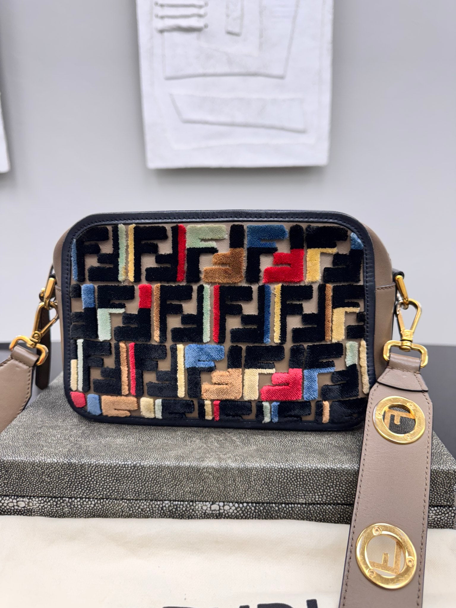 Fendi Multicolor Velvet And Leather Vitello Century Camera Bag 