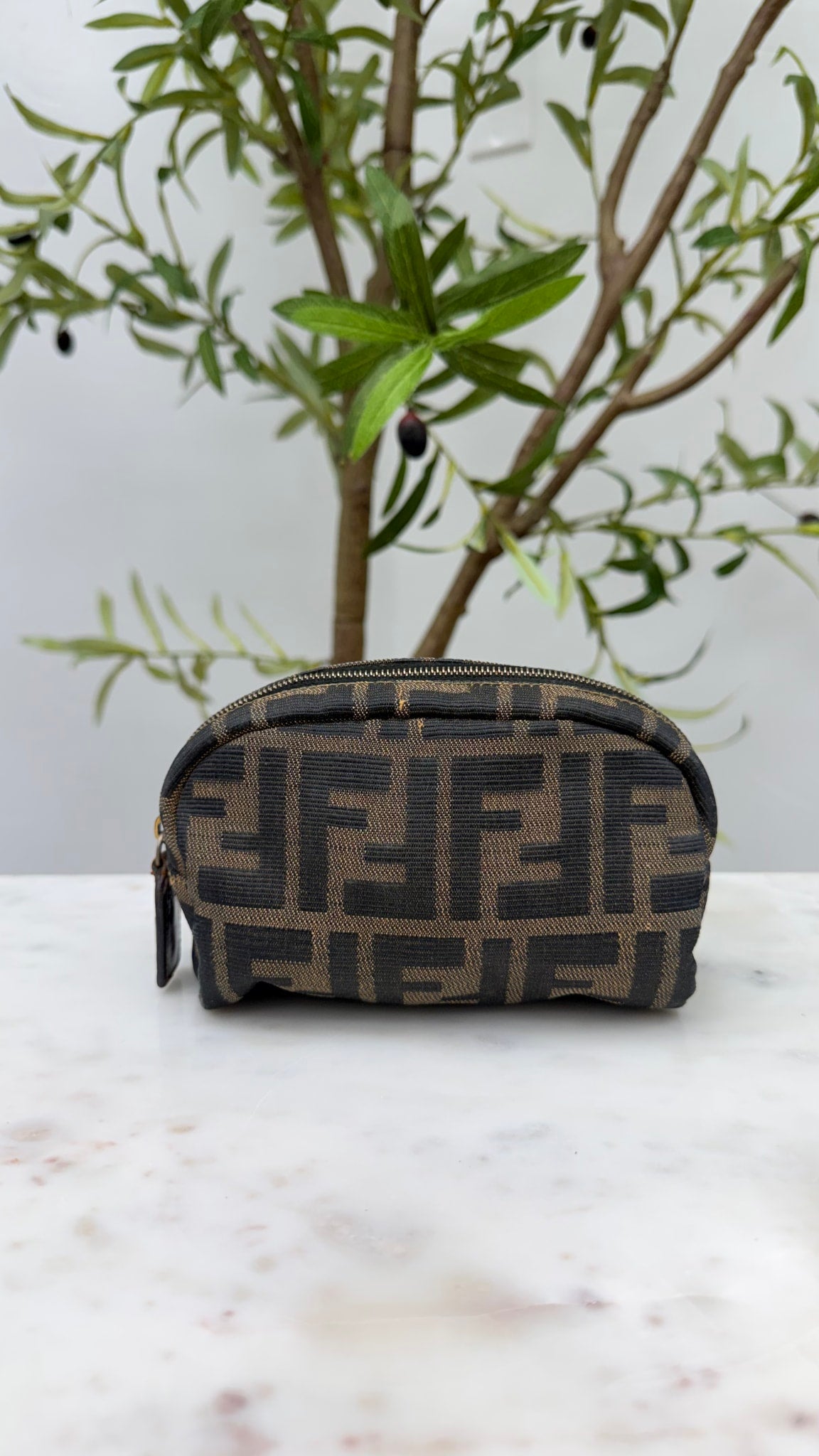Fendi Brown Zucca Canvas Cosmetic Pouch 