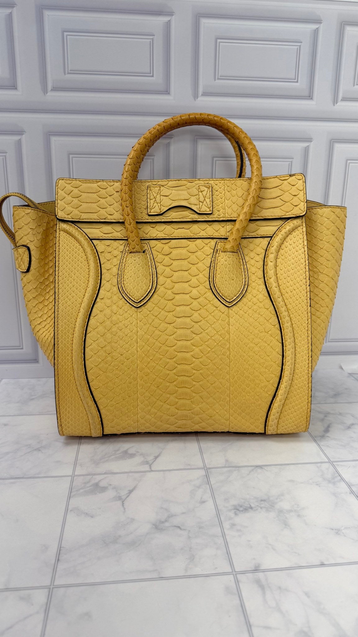 Celine Yellow Python Leather Mini Luggage Tote Bag 