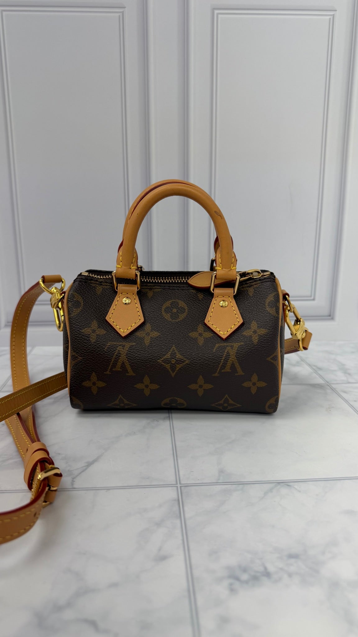 Louis Vuitton Monogram Nano Speedy 