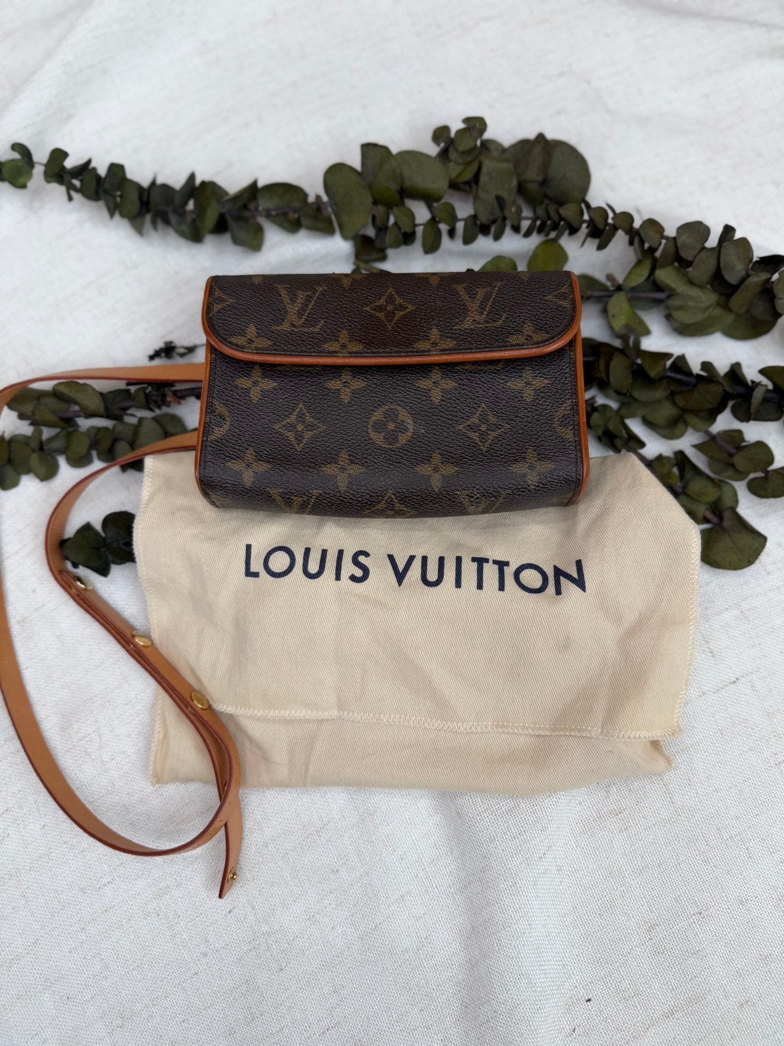 Louis Vuitton Monogram Pochette Florentine Belt Bag
