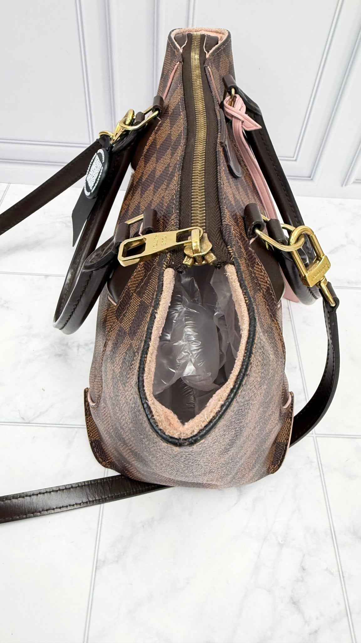 Louis Vuitton Damier Ebene & Pink Caissa PM 2Way Bag