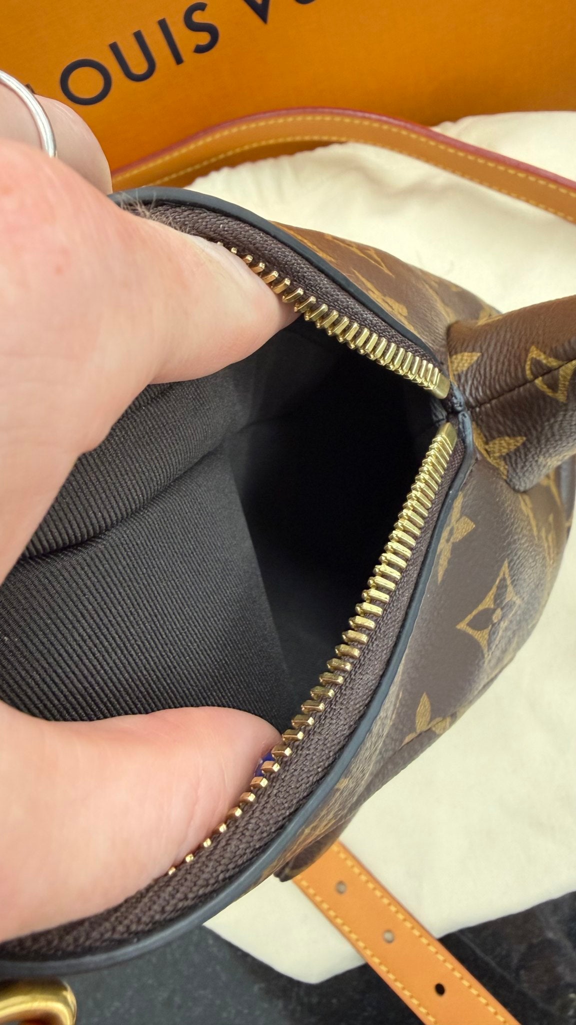 BRAND NEW- Louis Vuitton Monogram Dolphin Bag