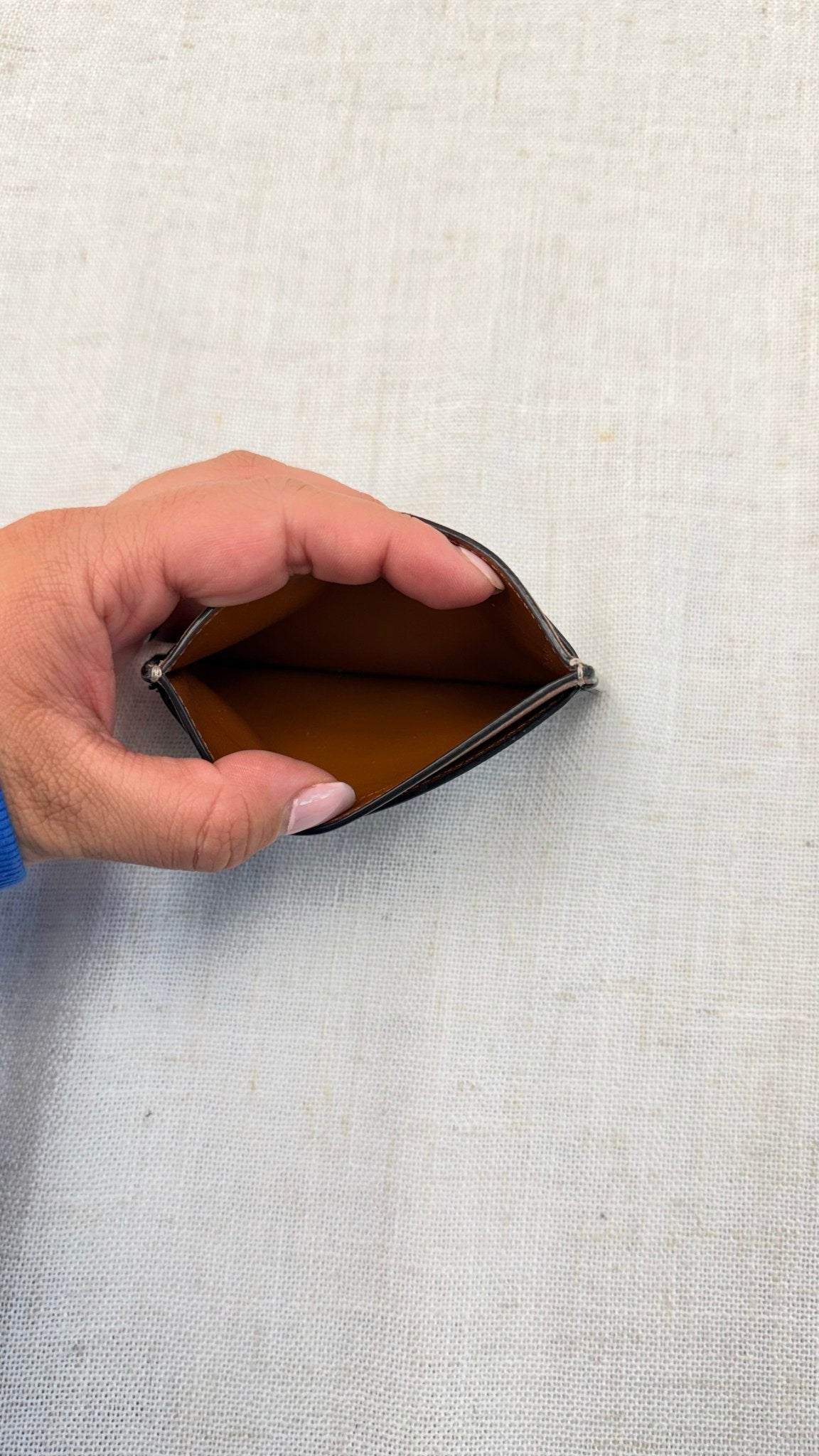 Celine Brown Triomphe Canvas Card Case 