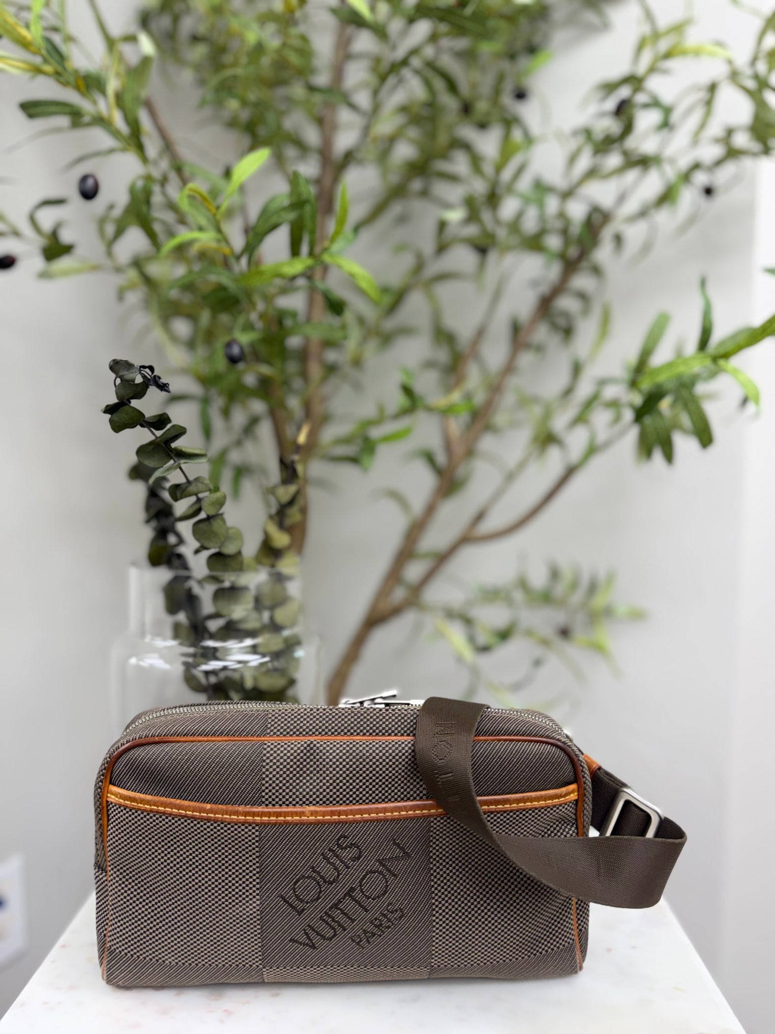 Louis Vuitton Brown Damier Geant Canvas Acrobat Belt Bag