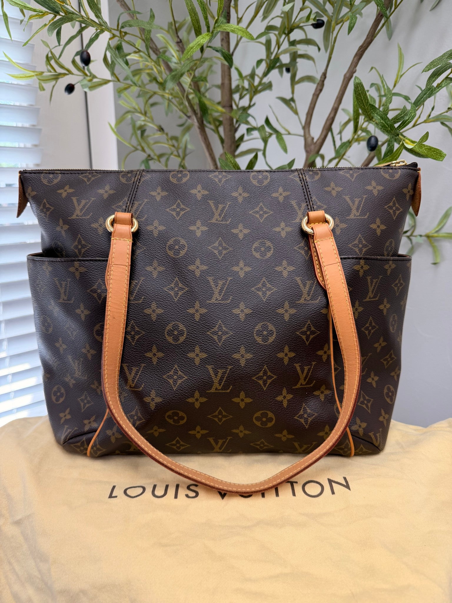 Louis Vuitton Monogram Totally MM