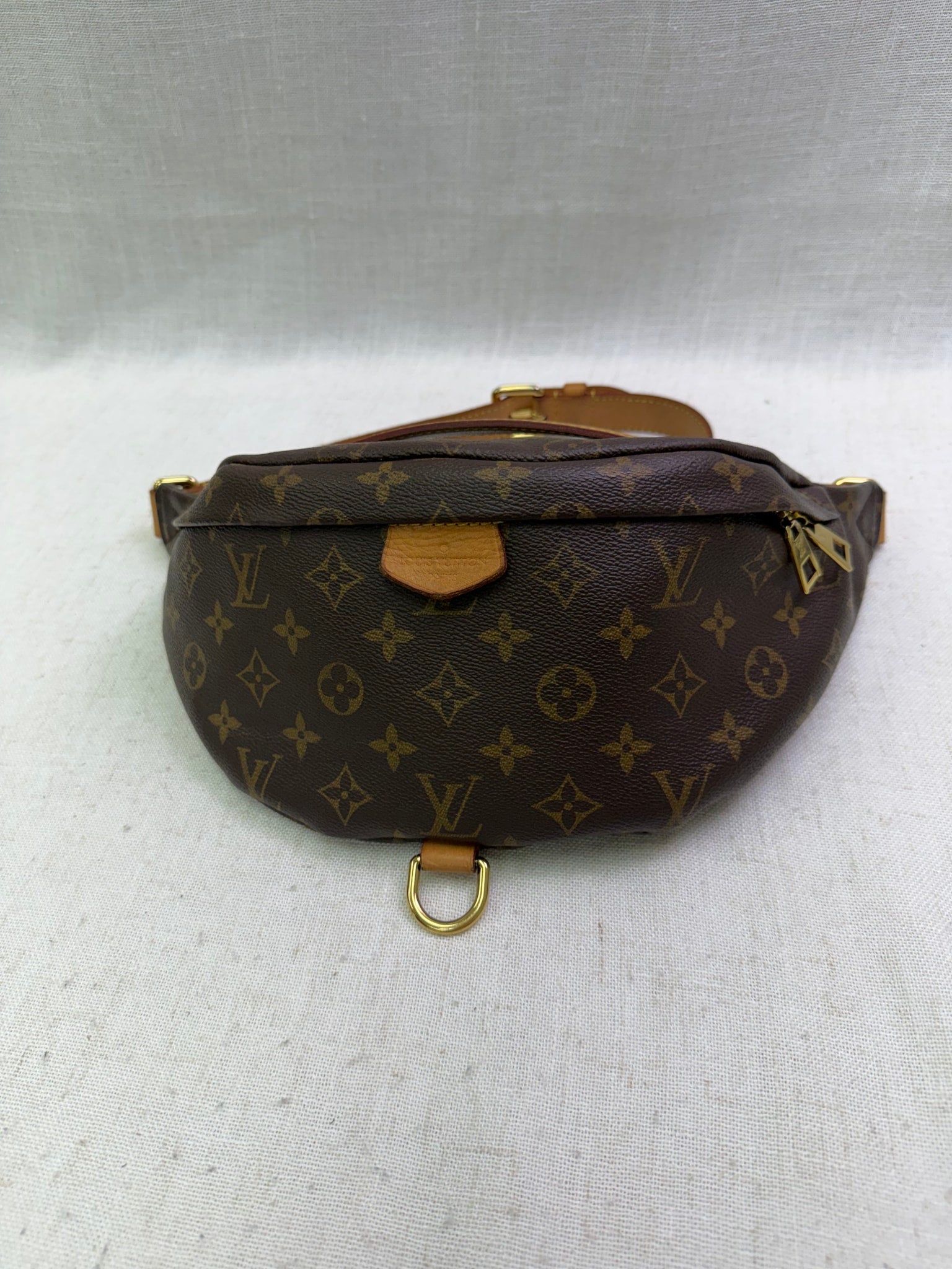Louis Vuitton Monogram Bum Bag