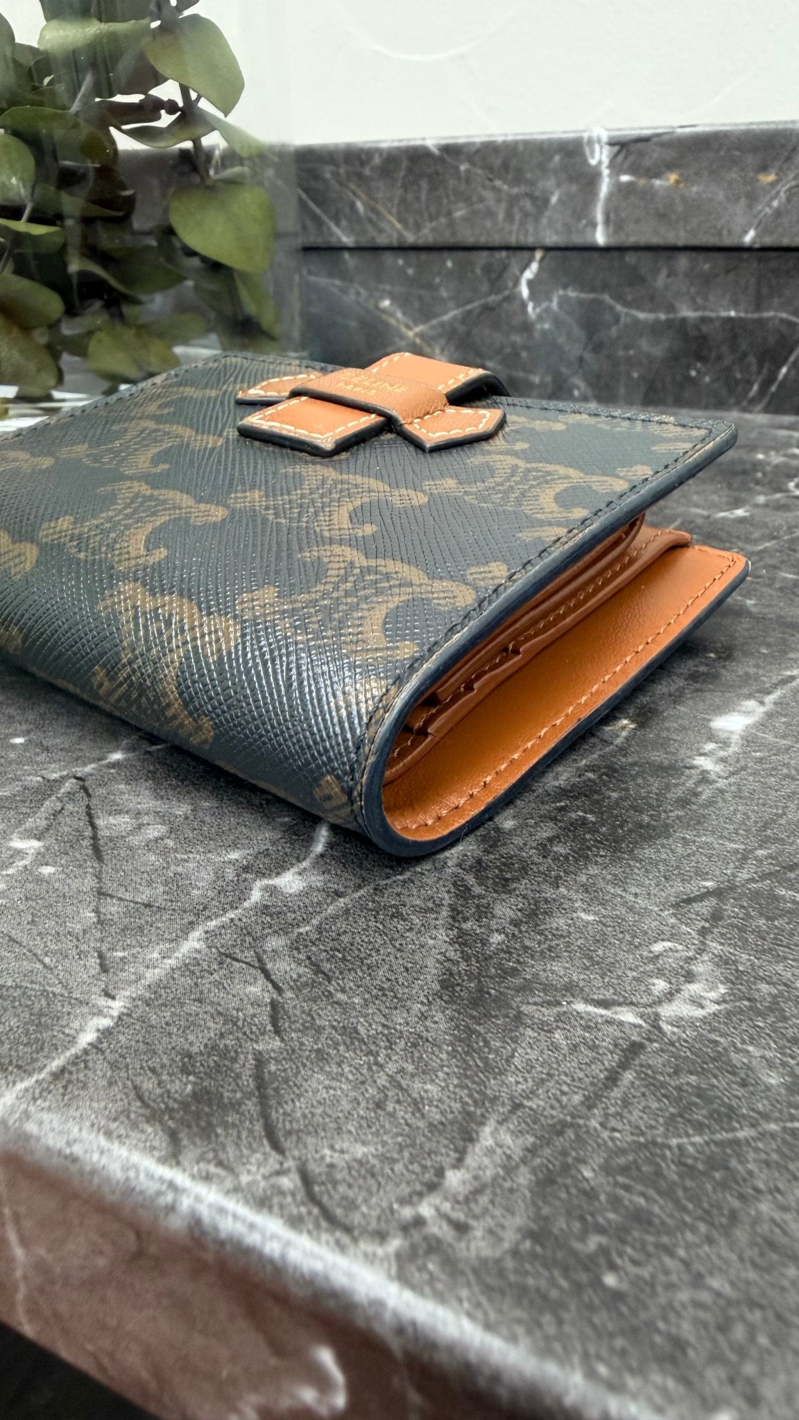 Celine Black & Brown Triomphe Canvas Small Strap Wallet