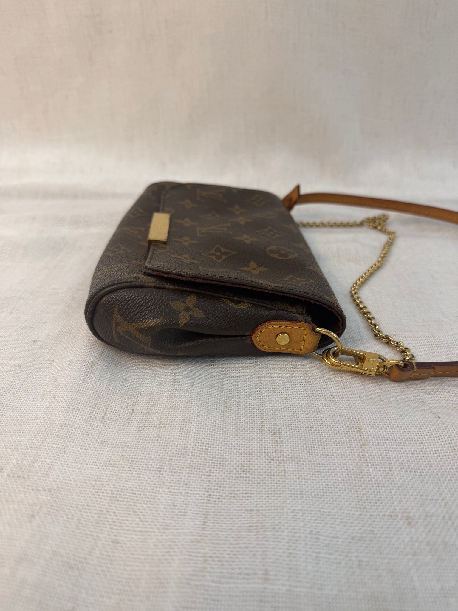 Louis Vuitton Monogram Favorite PM Bag