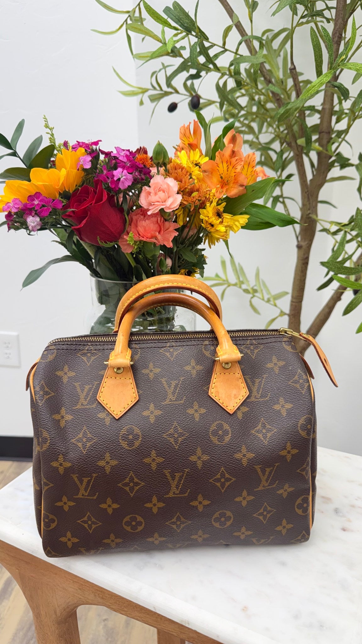 Louis Vuitton Monogram Speedy 25 Handbag