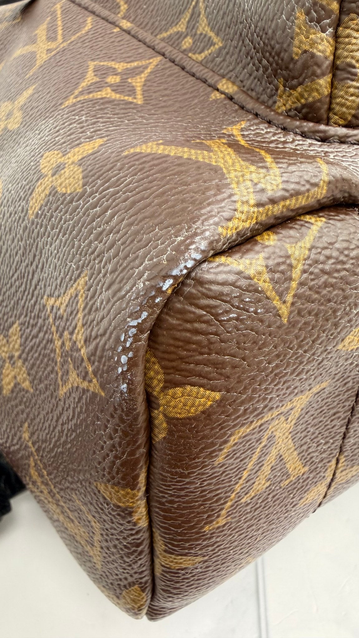Louis Vuitton Monogram Palm Springs MM Backpack 