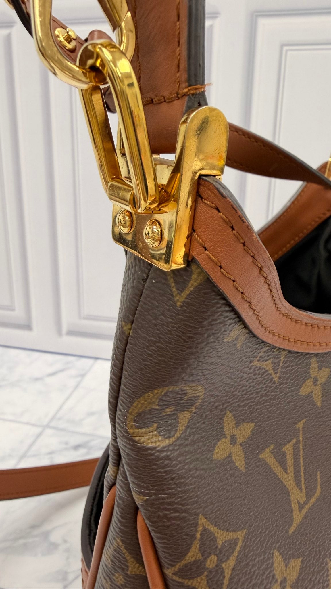 Louis Vuitton Reverse Monogram Dauphine Hobo PM Handbag