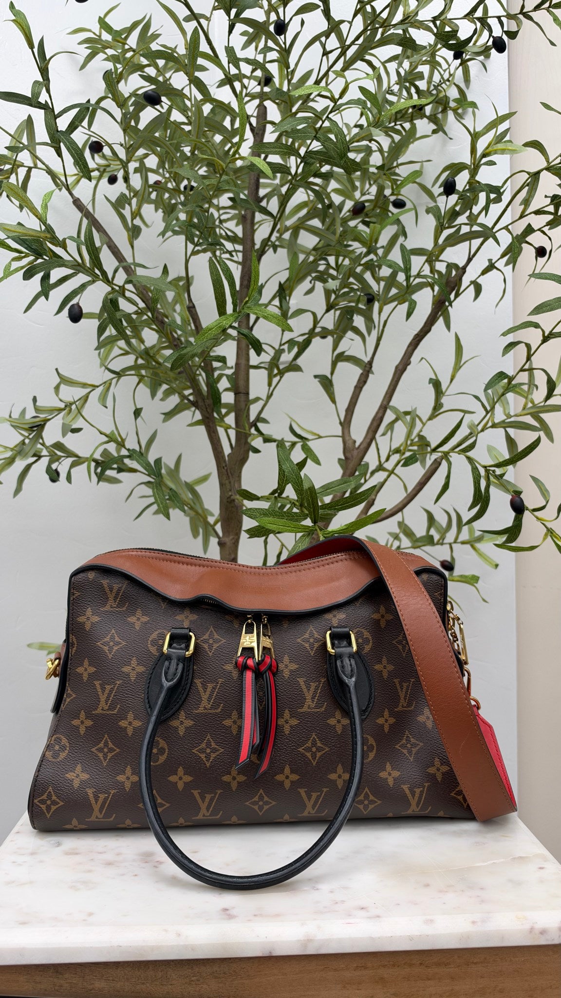 Louis Vuitton Monogram Tuileries Bag