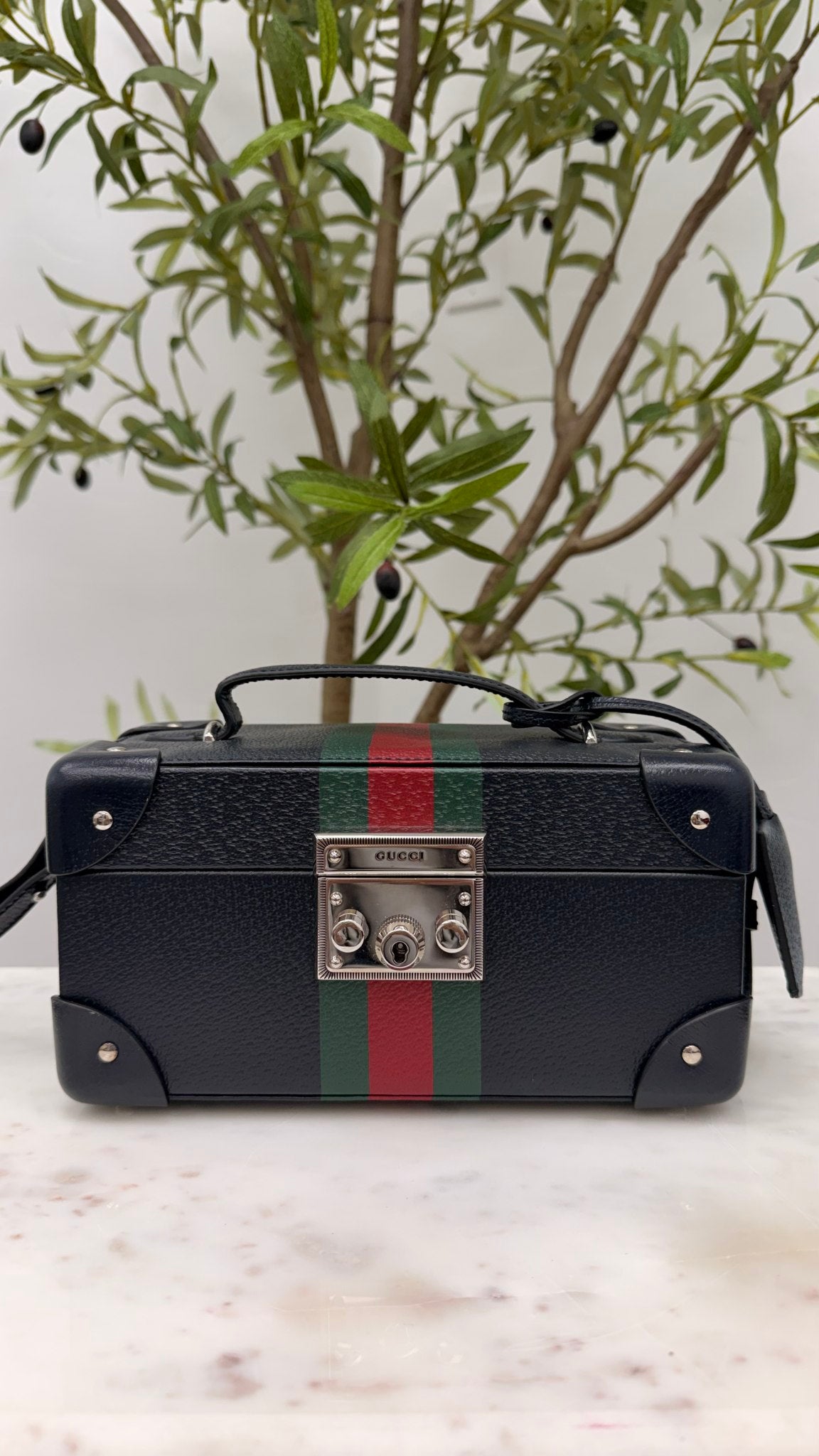 Gucci Navy Calfskin Leather Savory Watch Case 