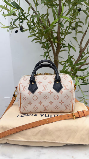 Louis Vuitton Monogram Dune Speedy 20 Bandouliere