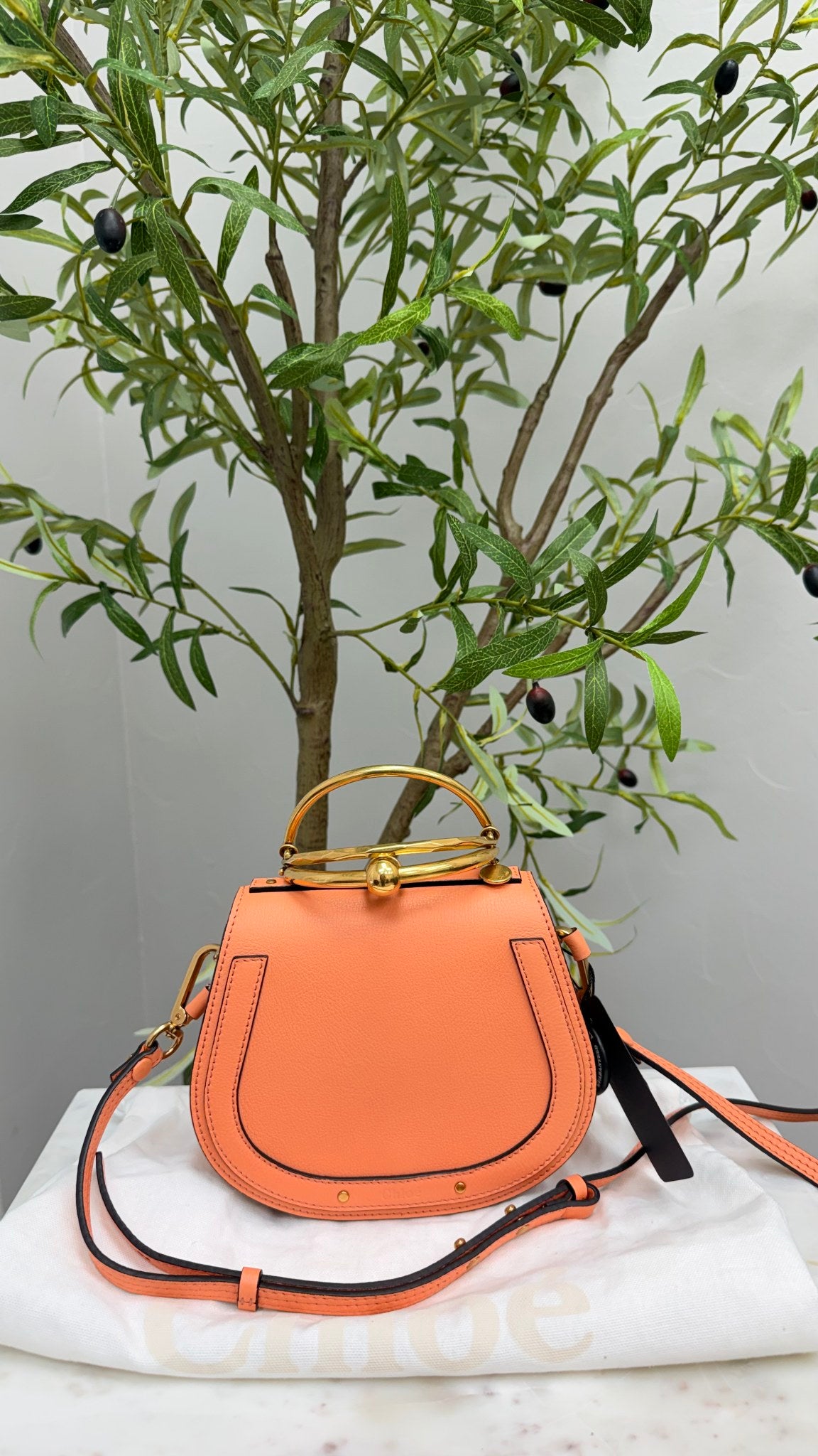 LIKE NEW - Chloe Coral Leather Small Nile Bracelet Bag