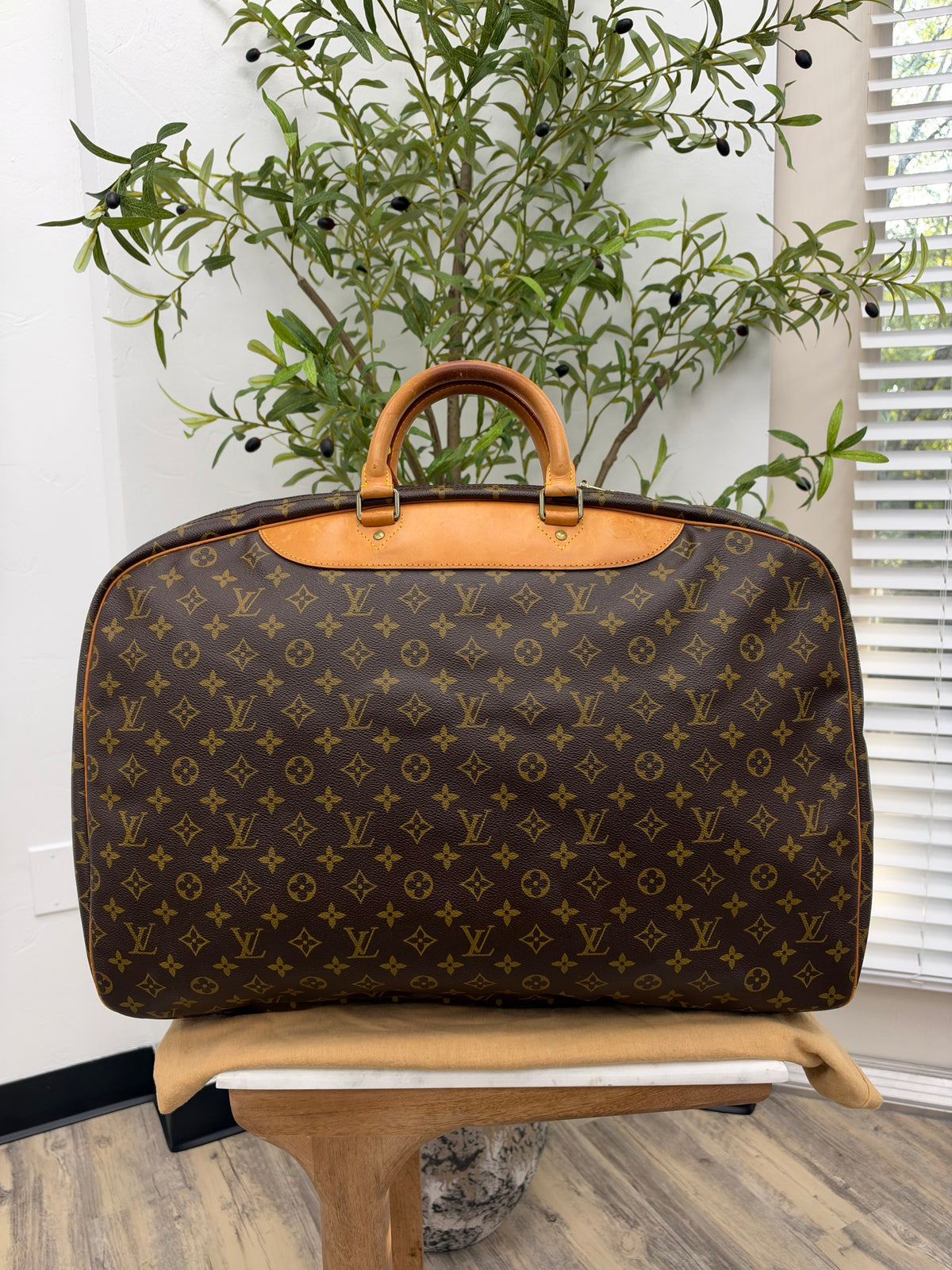 Louis Vuitton Monogram Alize Soft Suitcase