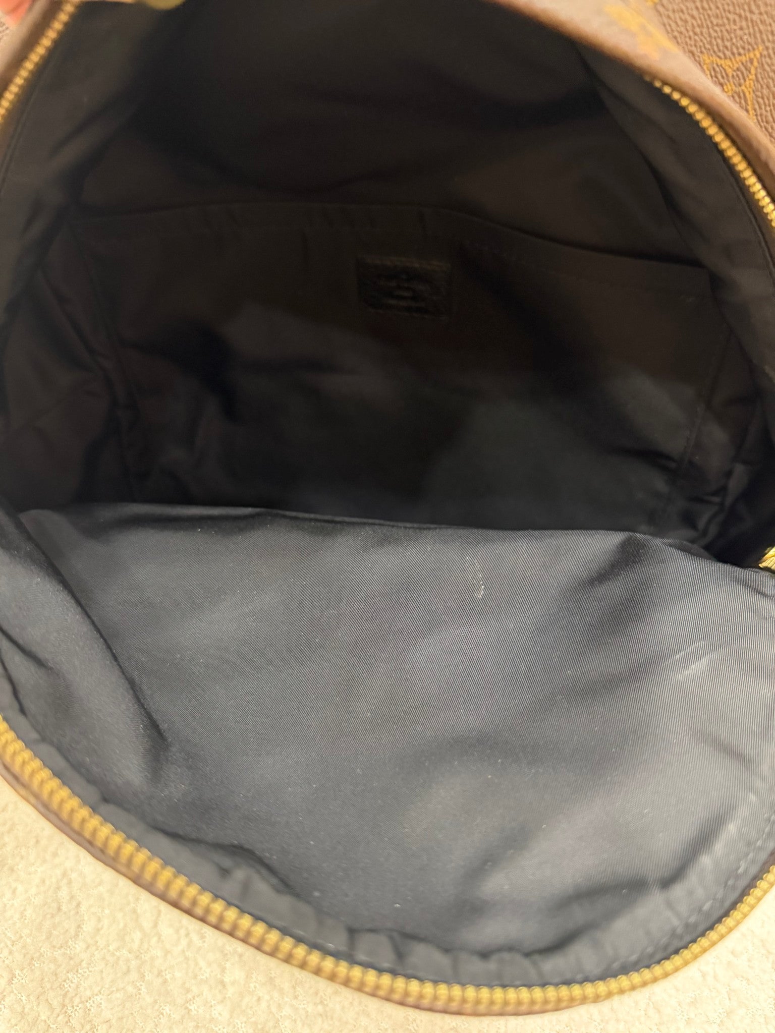 Louis Vuitton Monogram Palm Spring Backpack MM