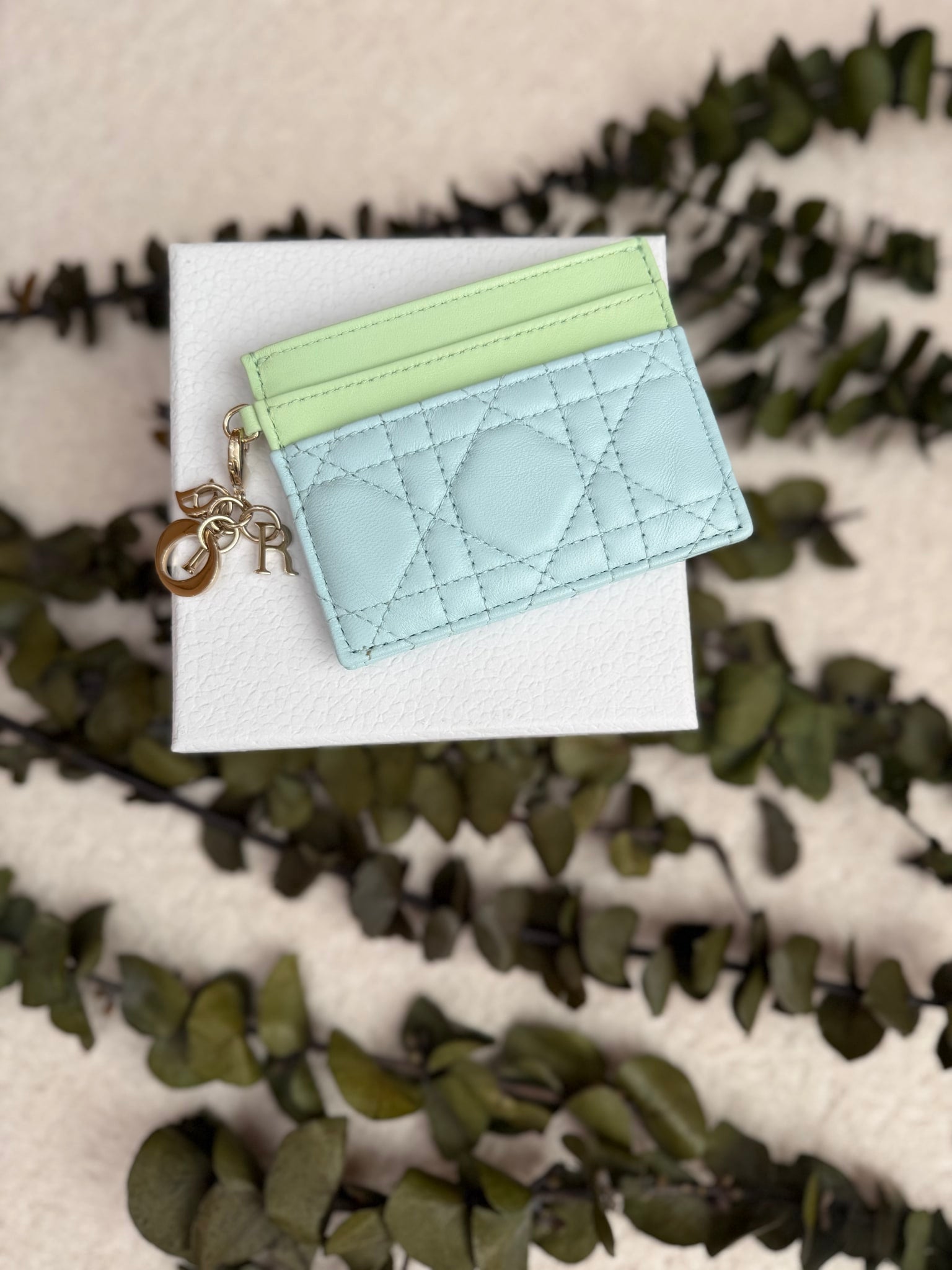 Christian Dior Green And Blue Leather Lady Dior Card Case