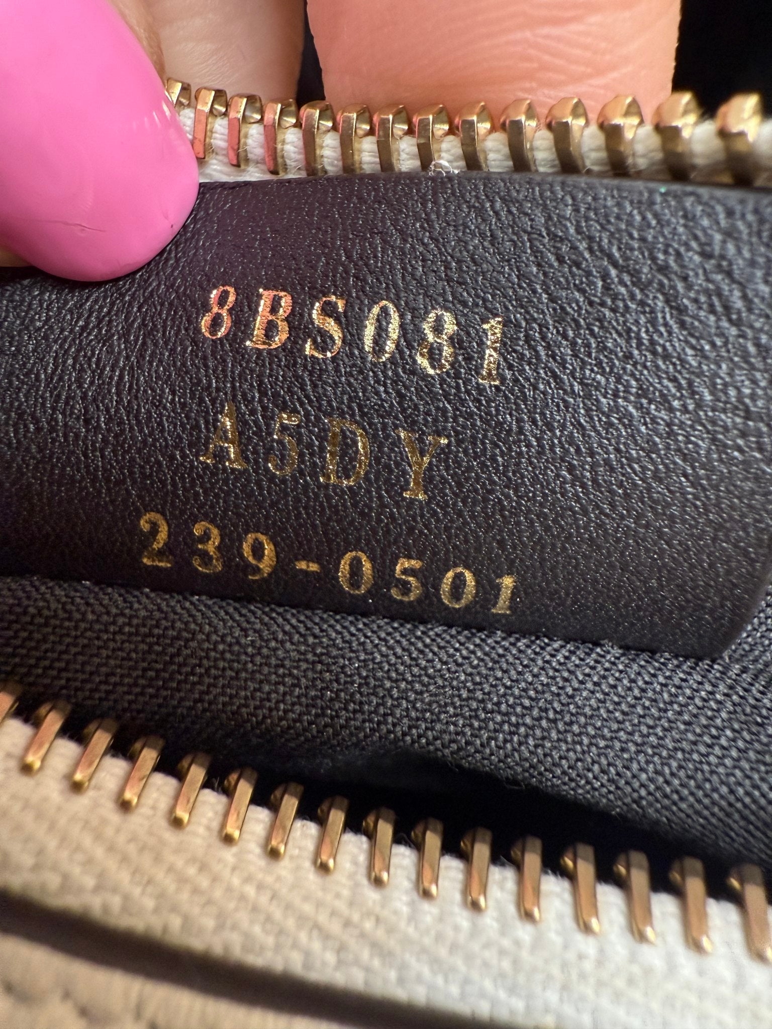 https://res.cloudinary.com/dyql5hig8/image/upload/v1753903836/g00ga0acyozorxvk76a5.jpg